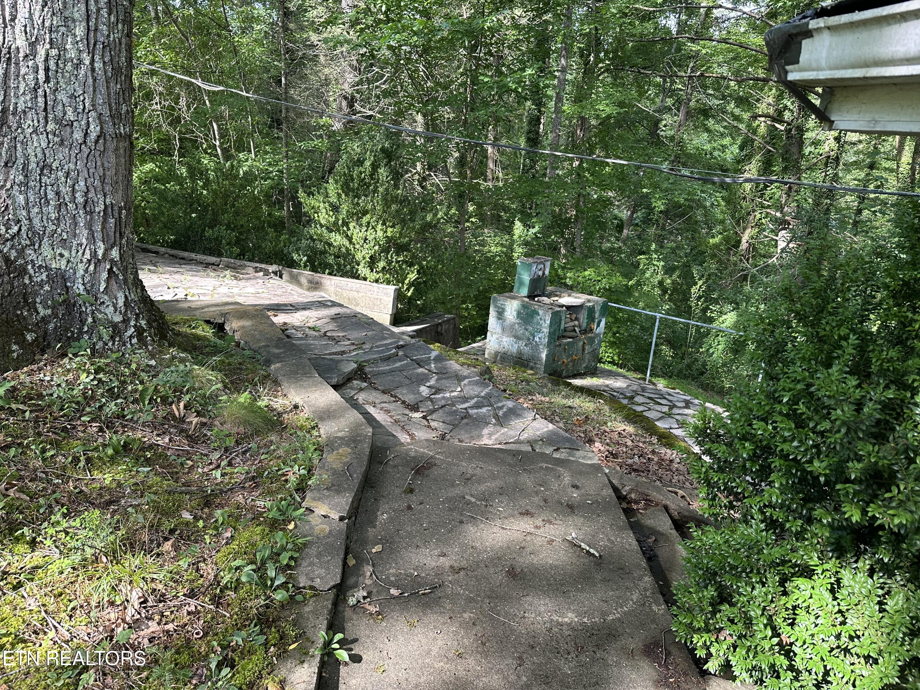 1138 Little Smoky Road Gatlinburg TN 37738