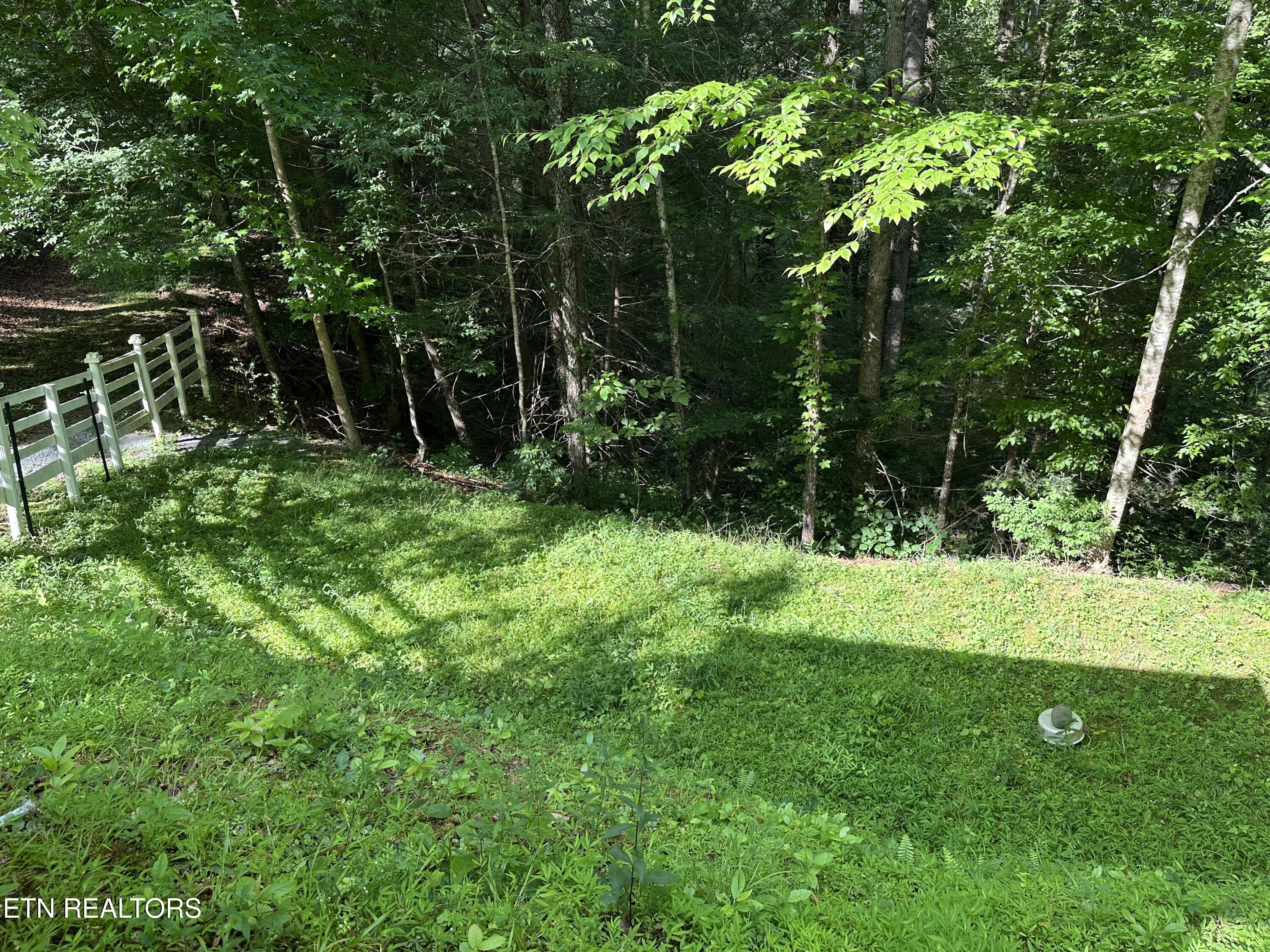 1138 Little Smoky Road Gatlinburg TN 37738