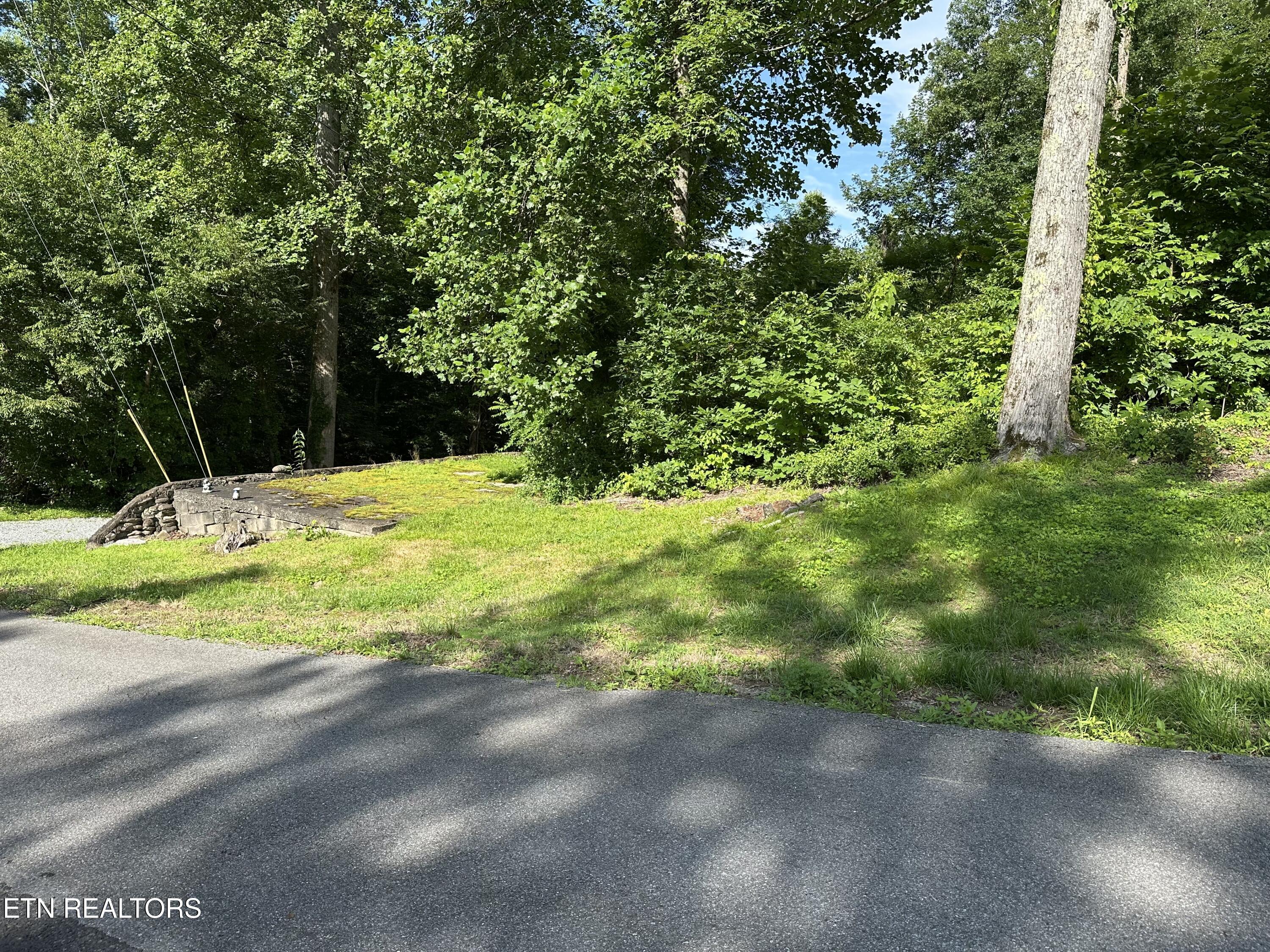 1138 Little Smoky Road Gatlinburg TN 37738