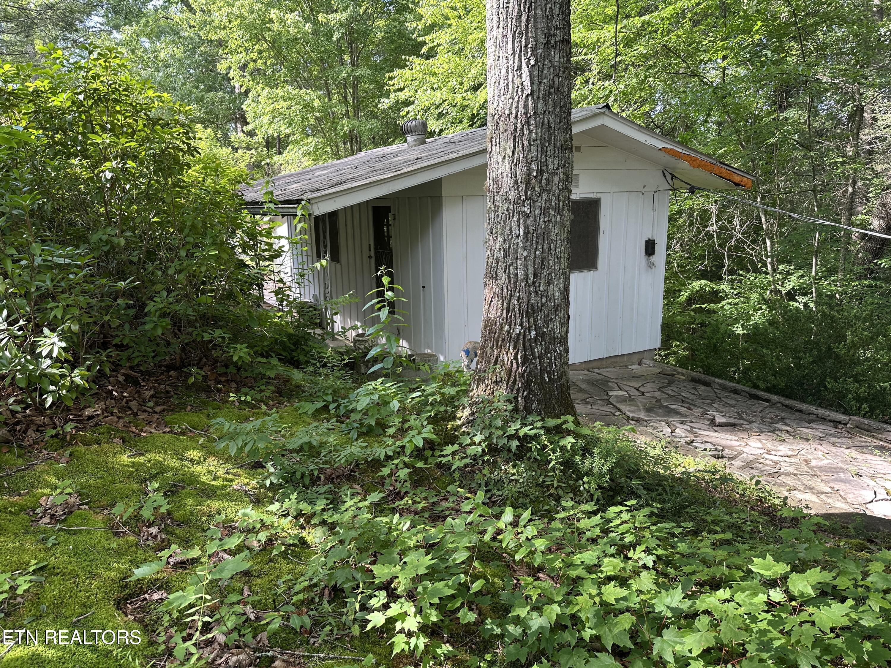 1138 Little Smoky Road Gatlinburg TN 37738
