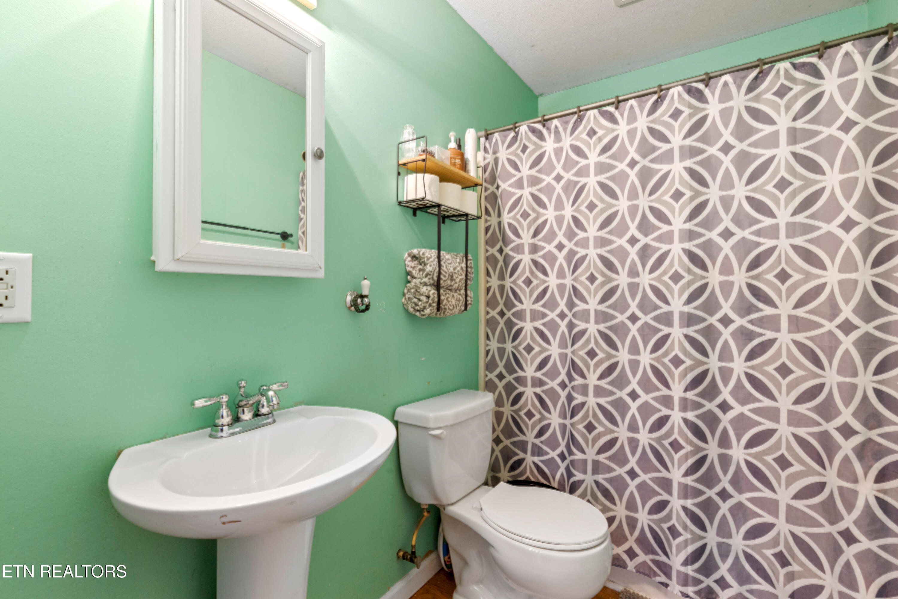 90 Illuminary Firetower Road Spring City TN 37381
