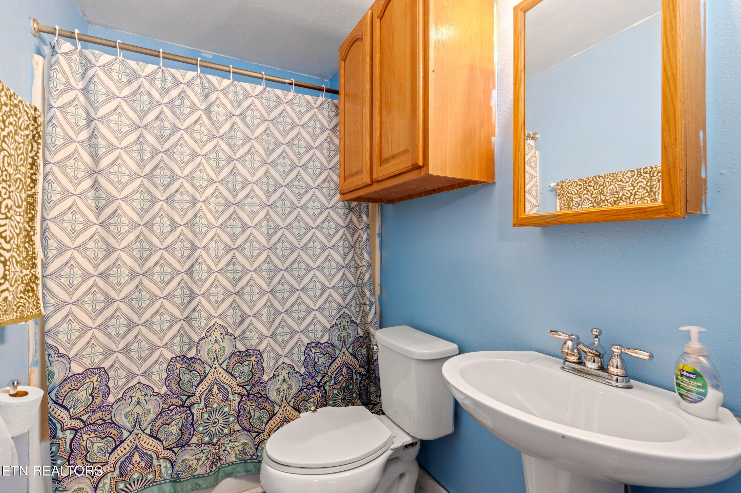 90 Illuminary Firetower Road Spring City TN 37381