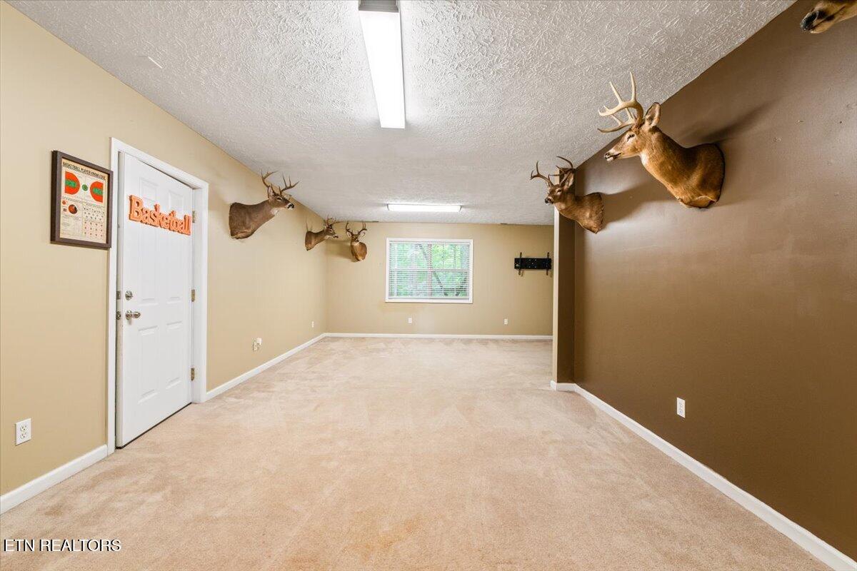 153 Autumn Drive Clinton TN 37716