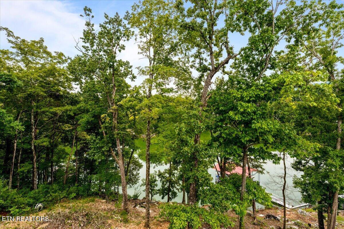 Tbd Bluff Trace Jacksboro TN 37757