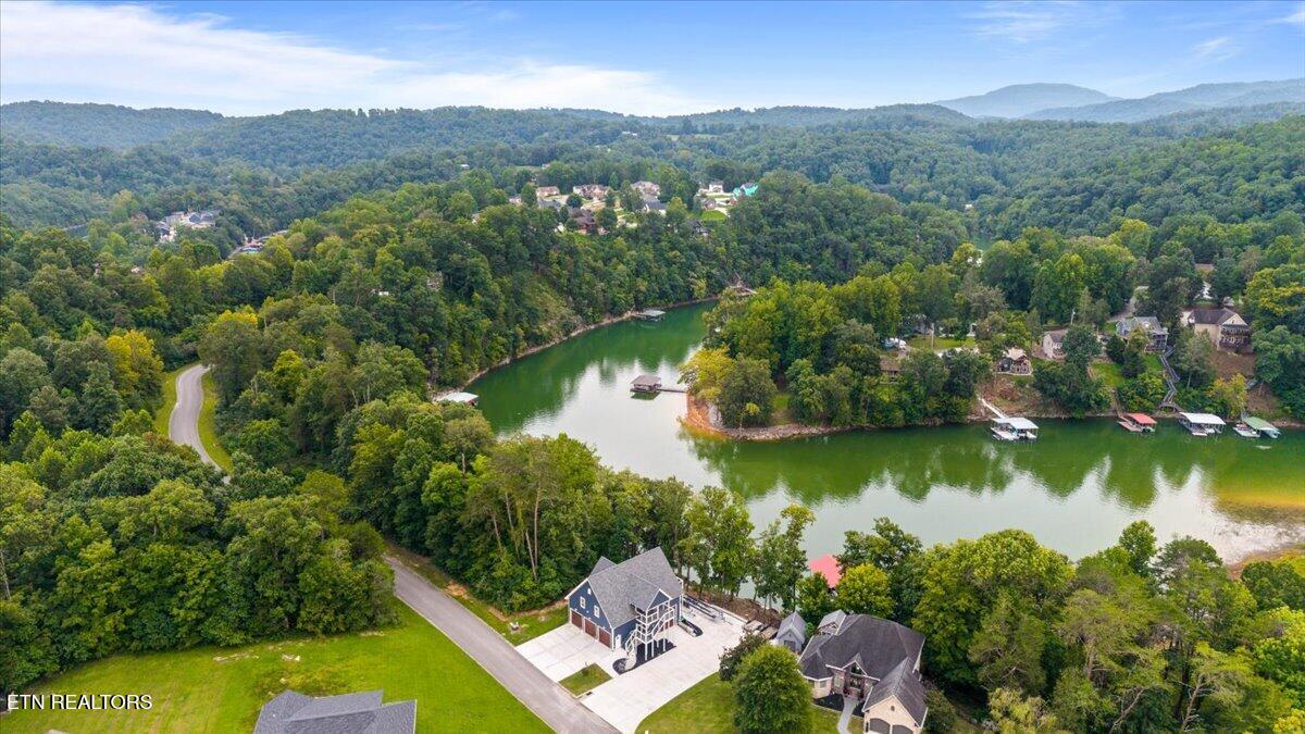 Tbd Bluff Trace Jacksboro TN 37757