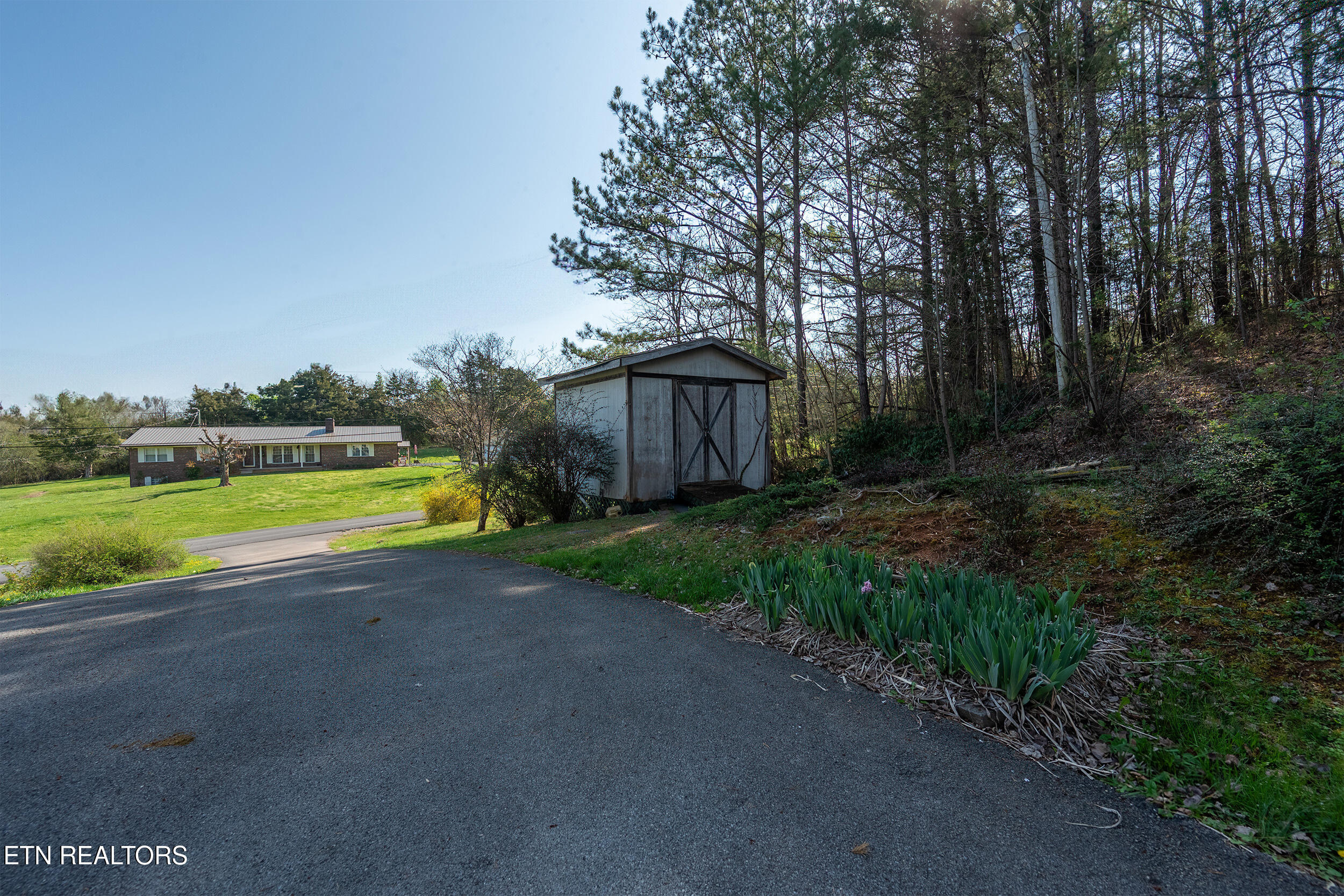 113 East Drive Parrottsville TN 37843