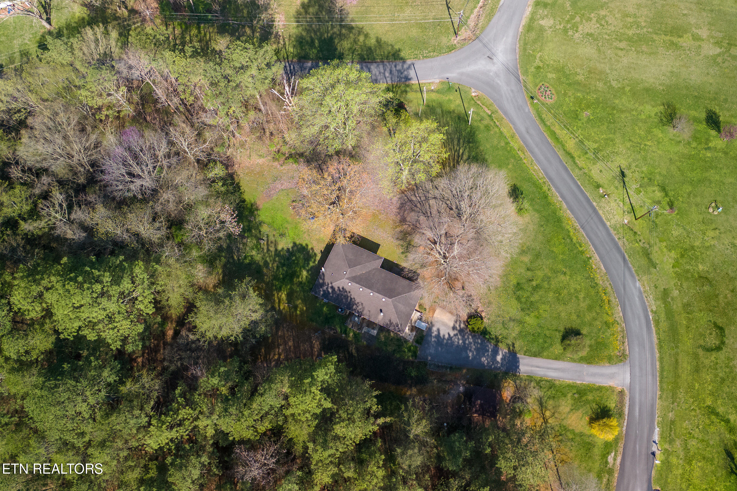 113 East Drive Parrottsville TN 37843