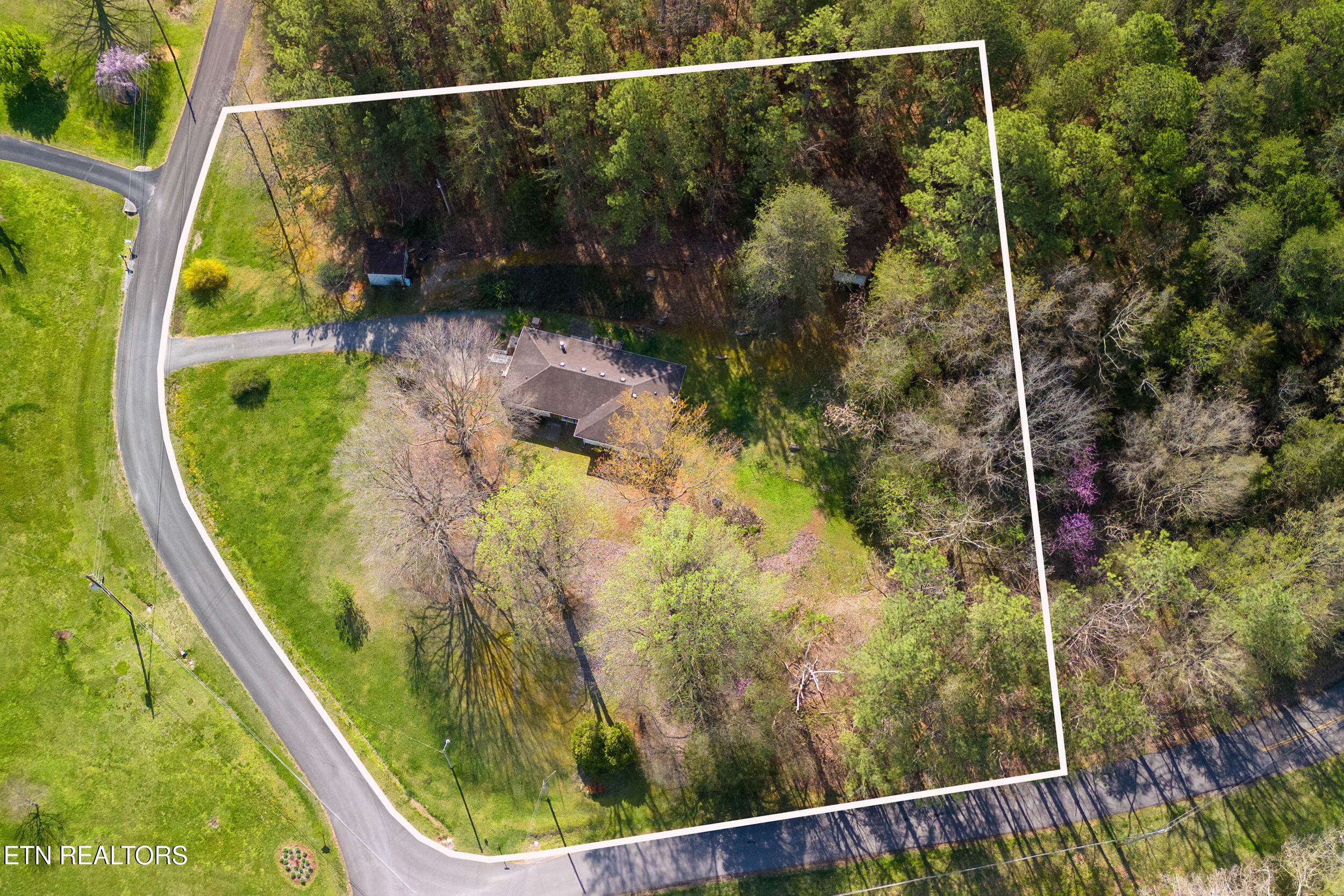 113 East Drive Parrottsville TN 37843