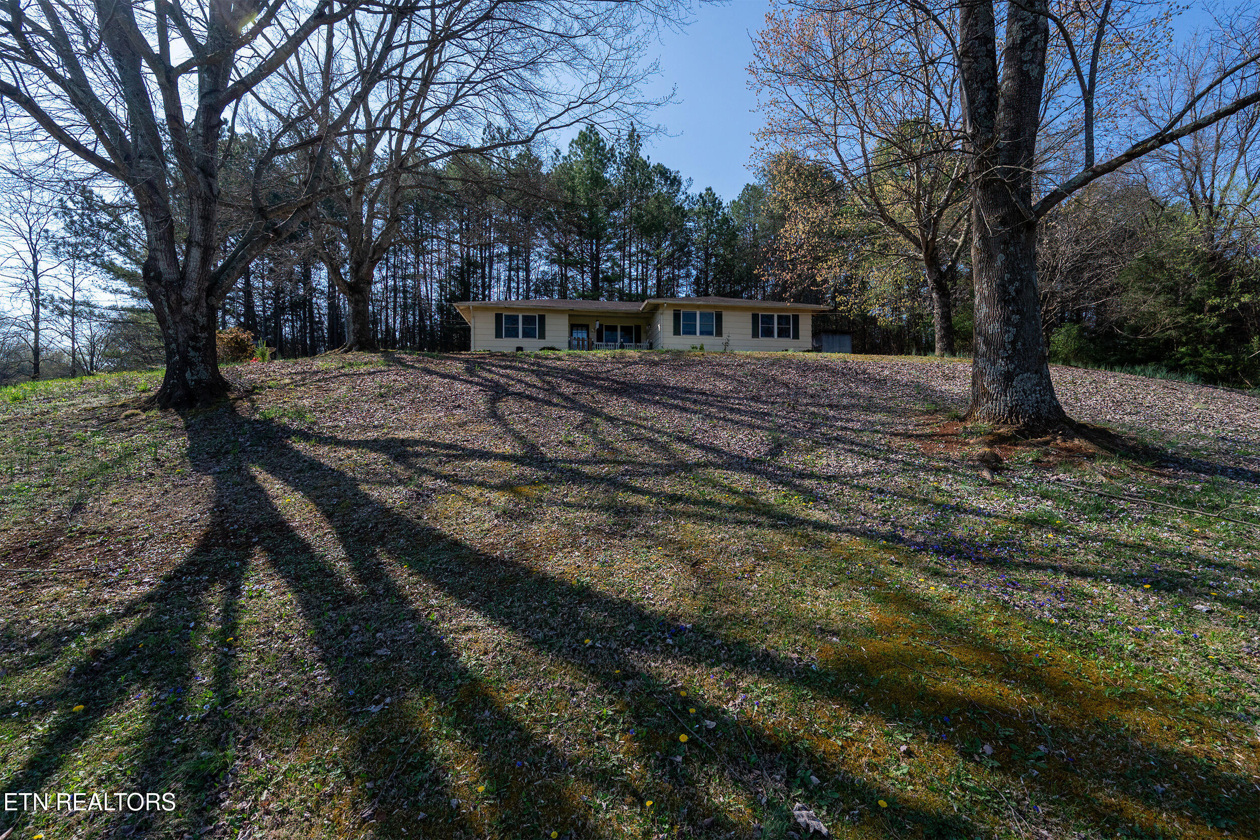 113 East Drive Parrottsville TN 37843