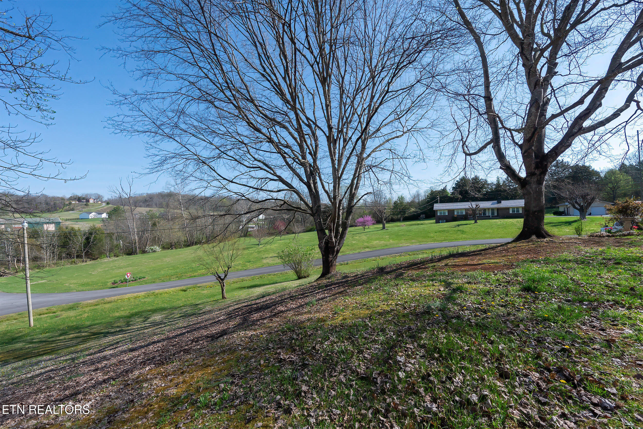 113 East Drive Parrottsville TN 37843