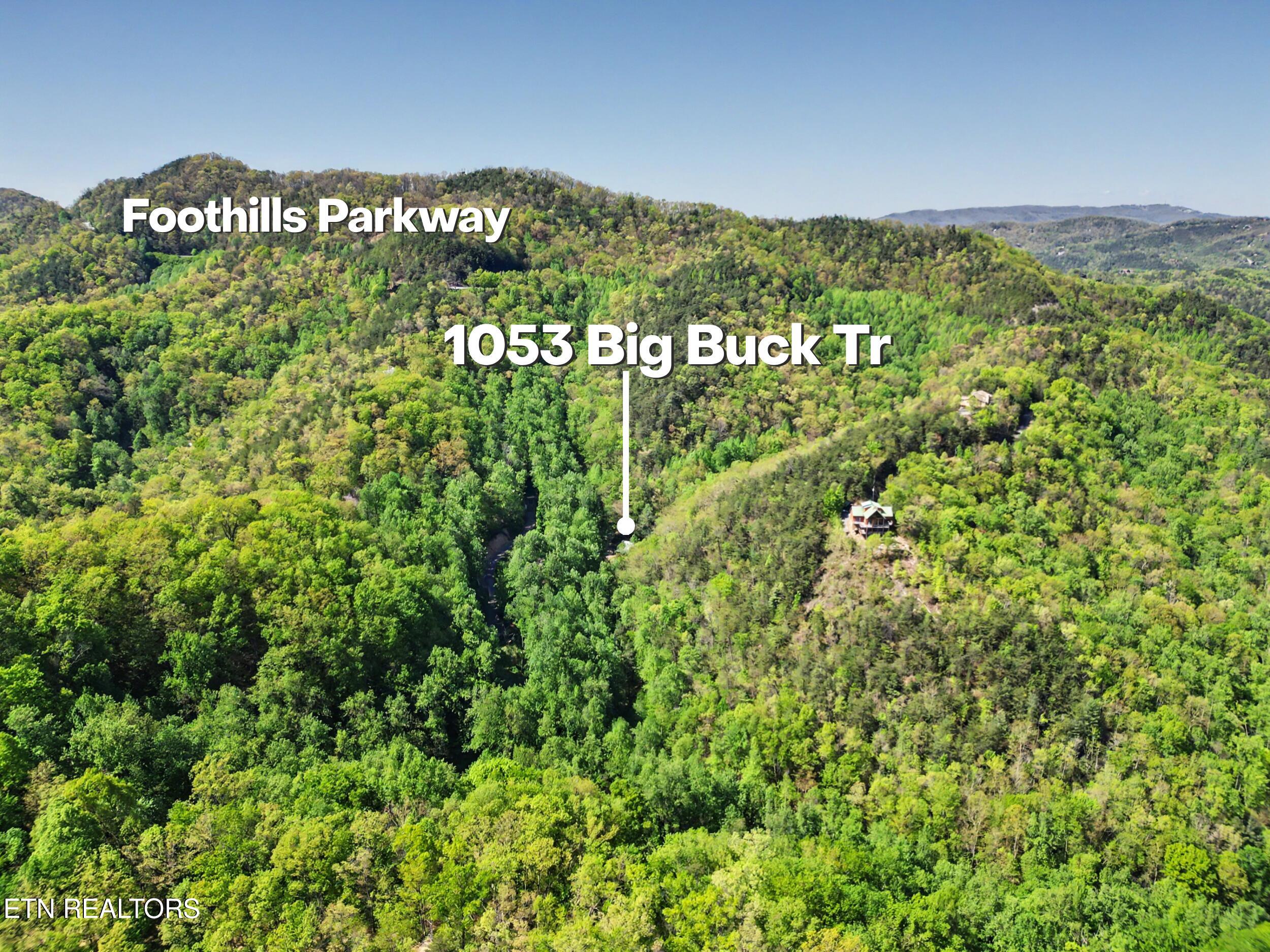 1053 Big Buck Trail Townsend TN 37882