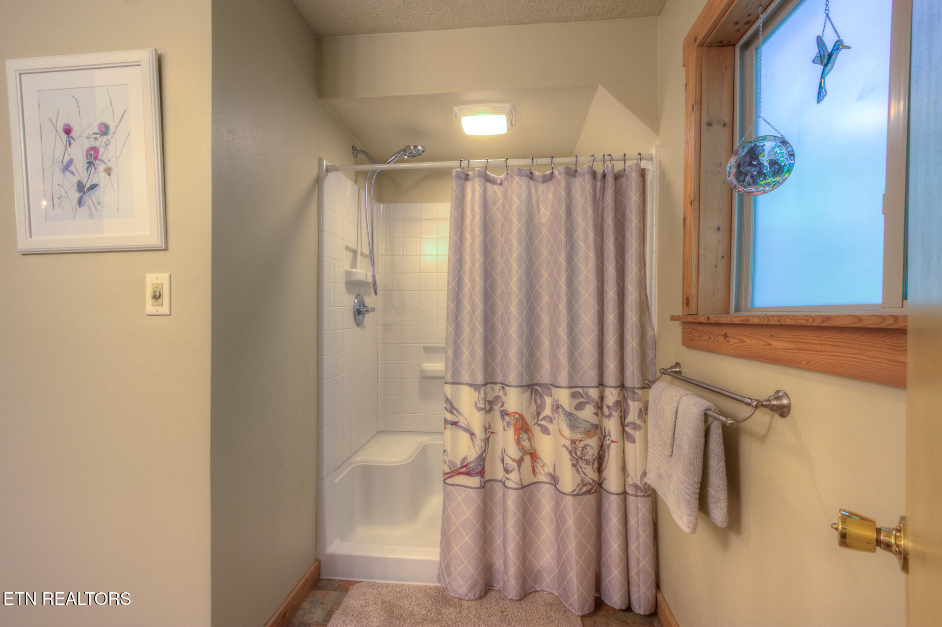 1051 Wiley Oakley Drive Gatlinburg TN 37738