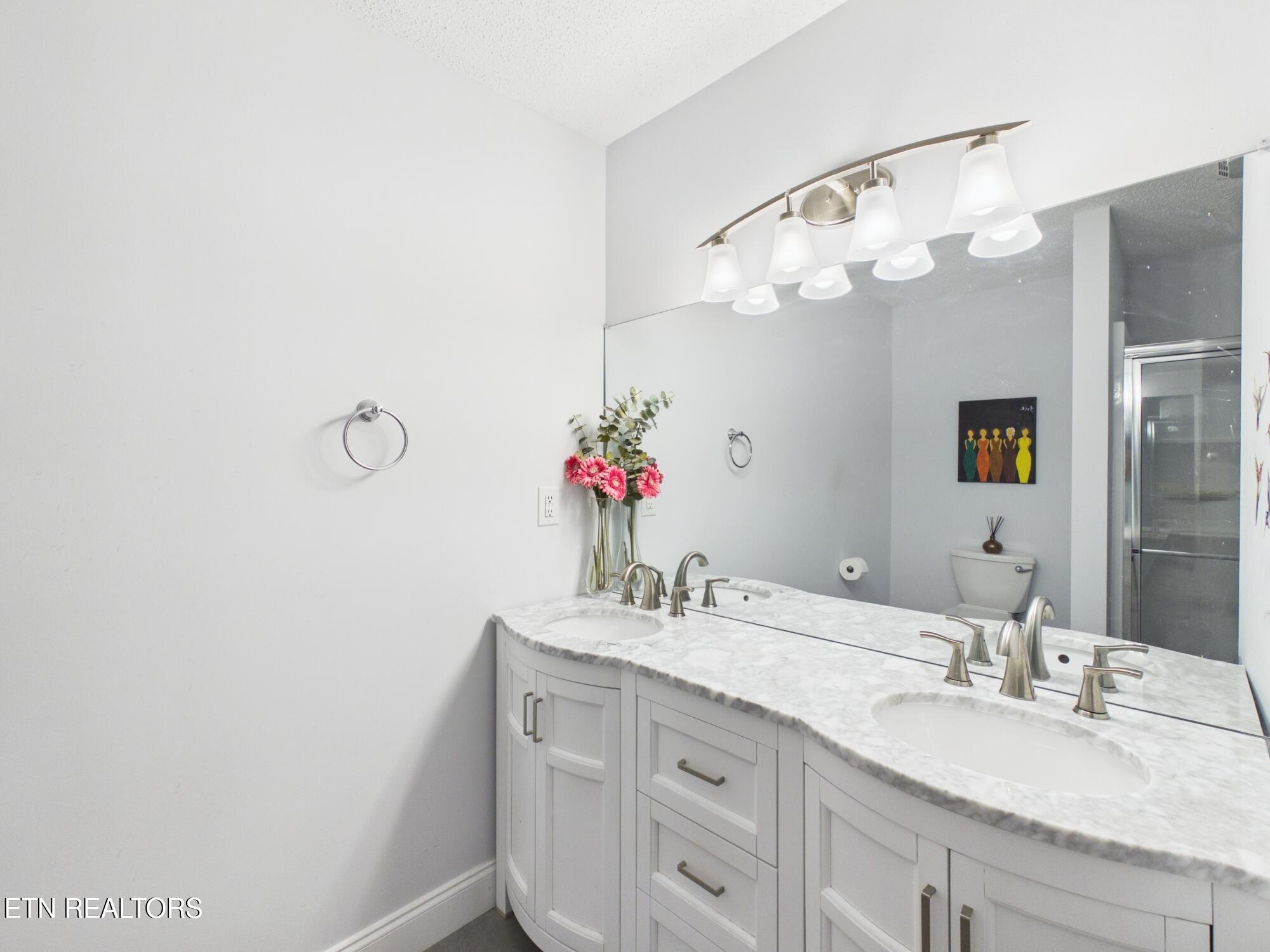 181 Spring Street Spring City TN 37381