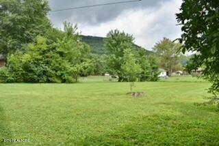 181 Spring Street Spring City TN 37381