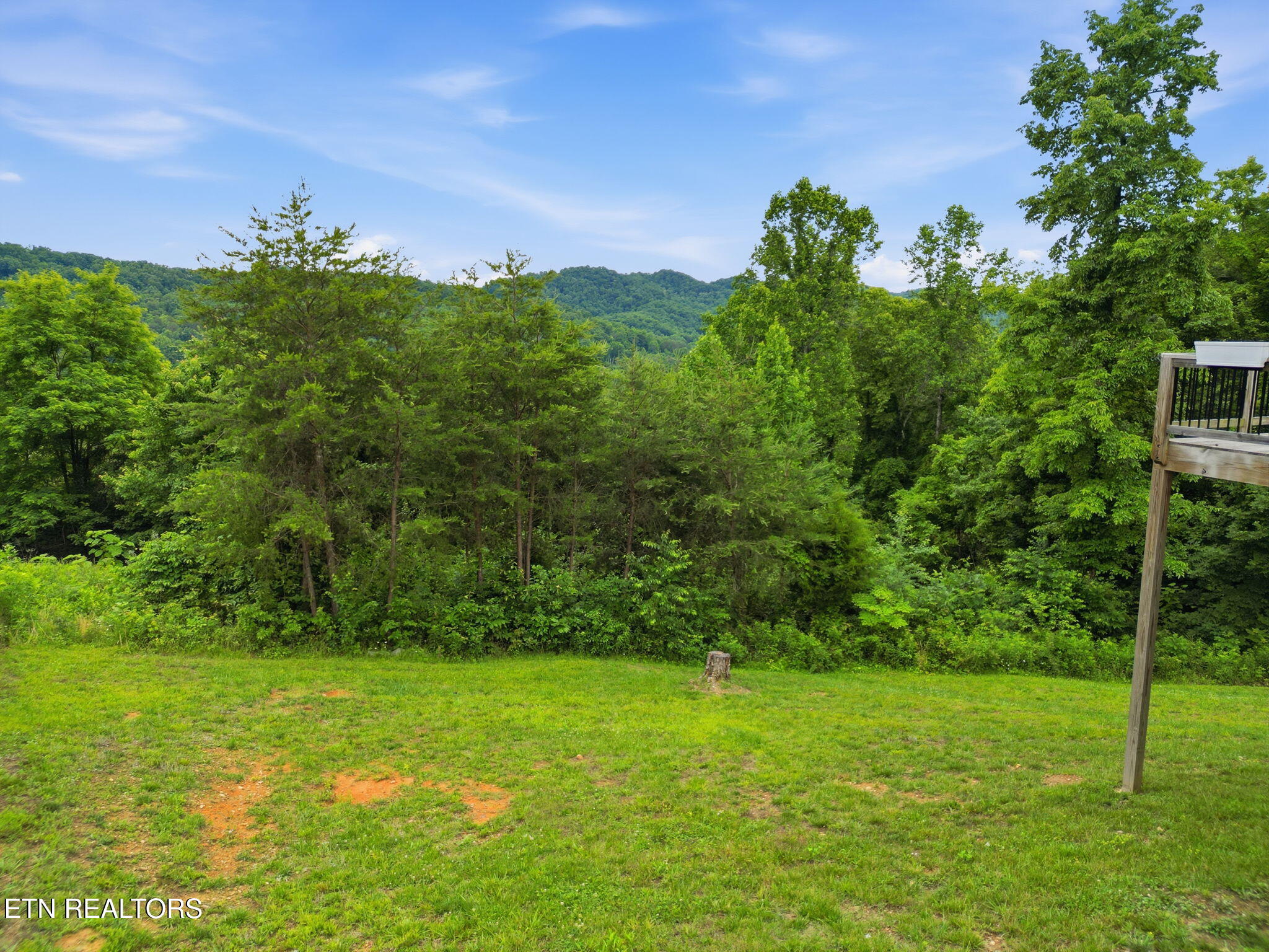 198 Owen Moore Drive Maynardville TN 37807