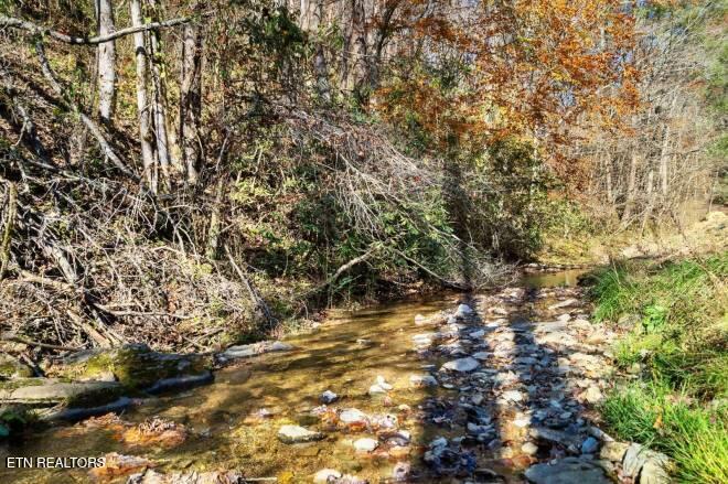 3033 N Clear Fork Road Sevierville TN 37862