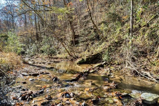 3033 N Clear Fork Road Sevierville TN 37862