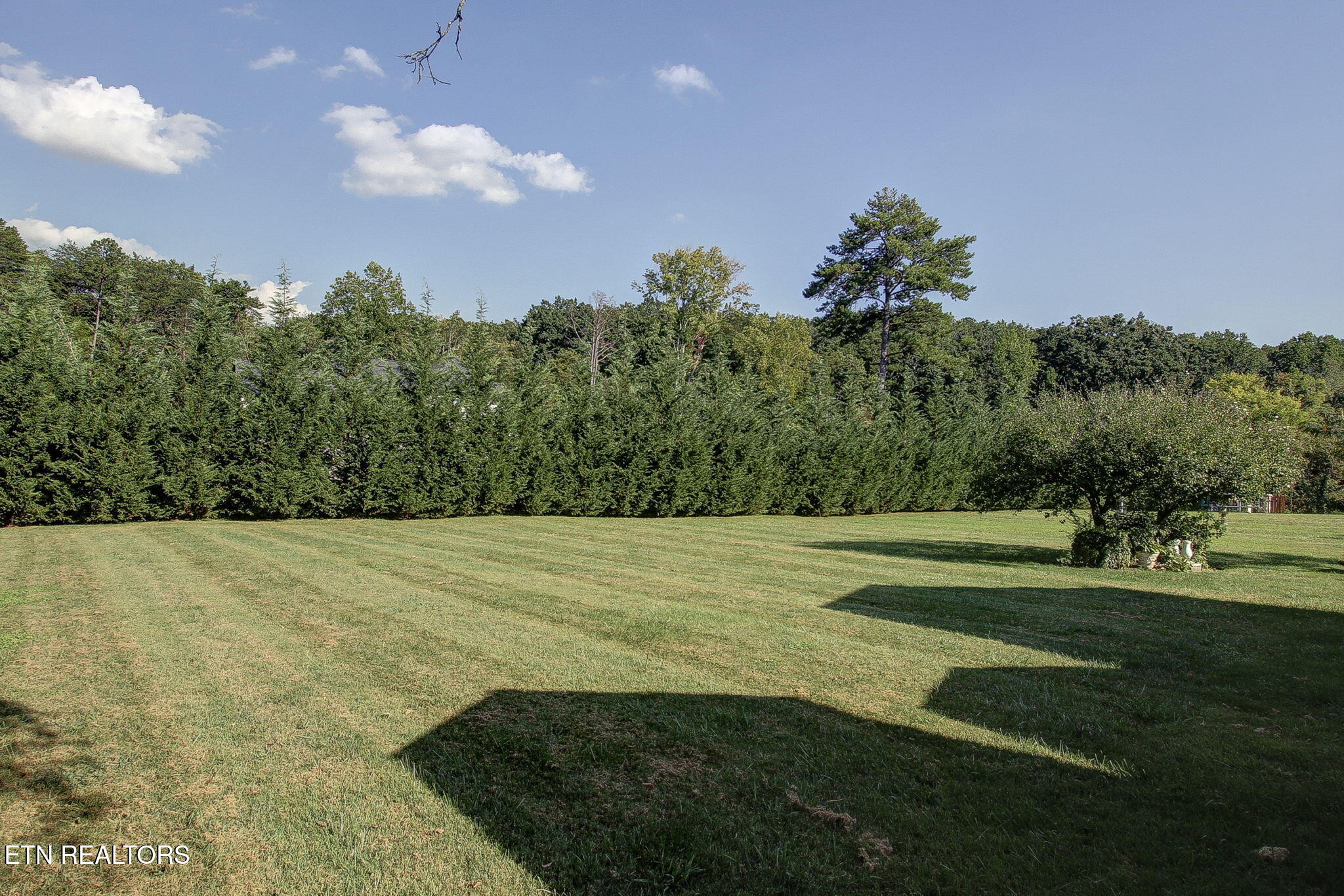 3726 Cherrylog Road Knoxville TN 37921