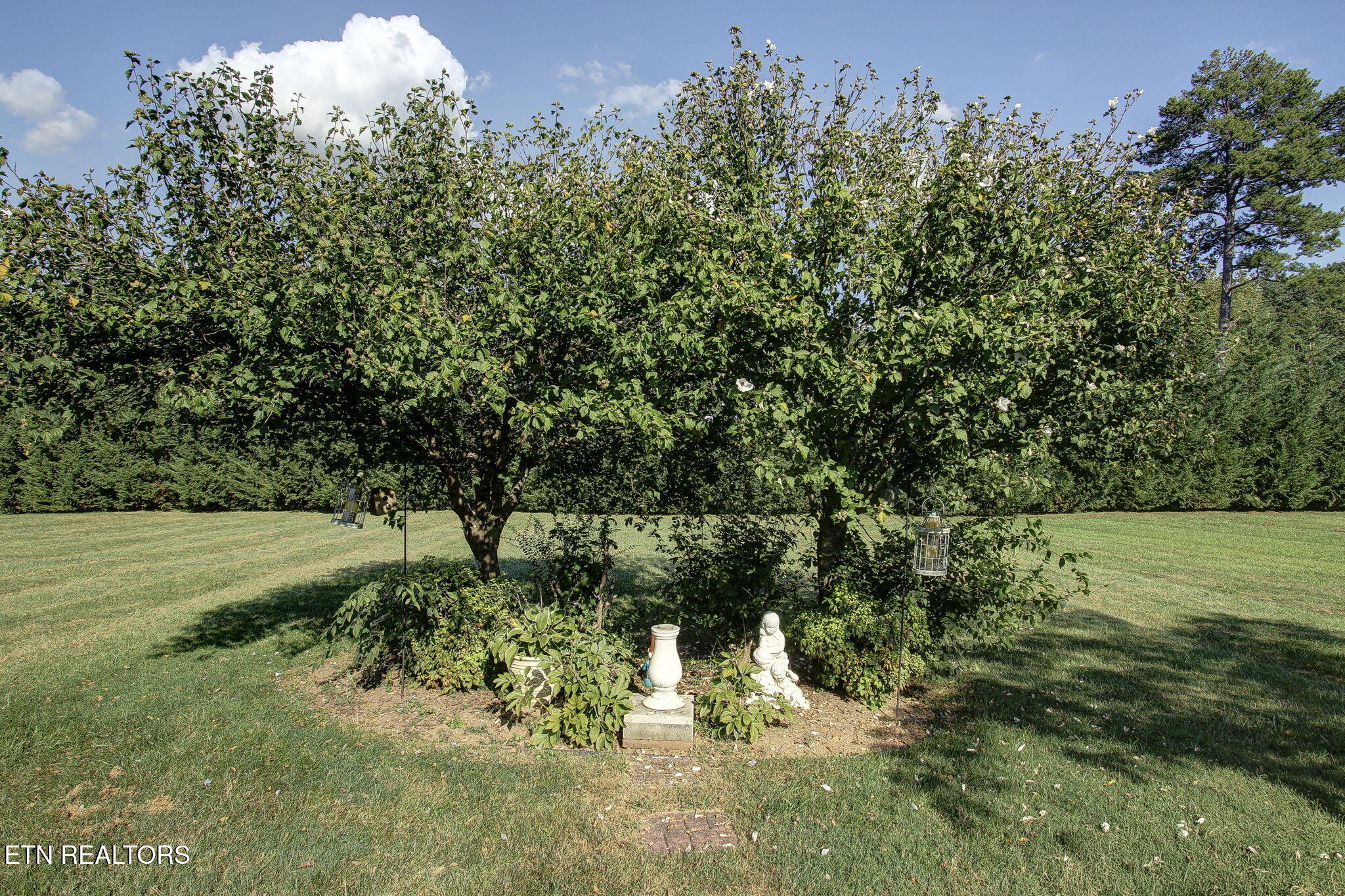 3726 Cherrylog Road Knoxville TN 37921