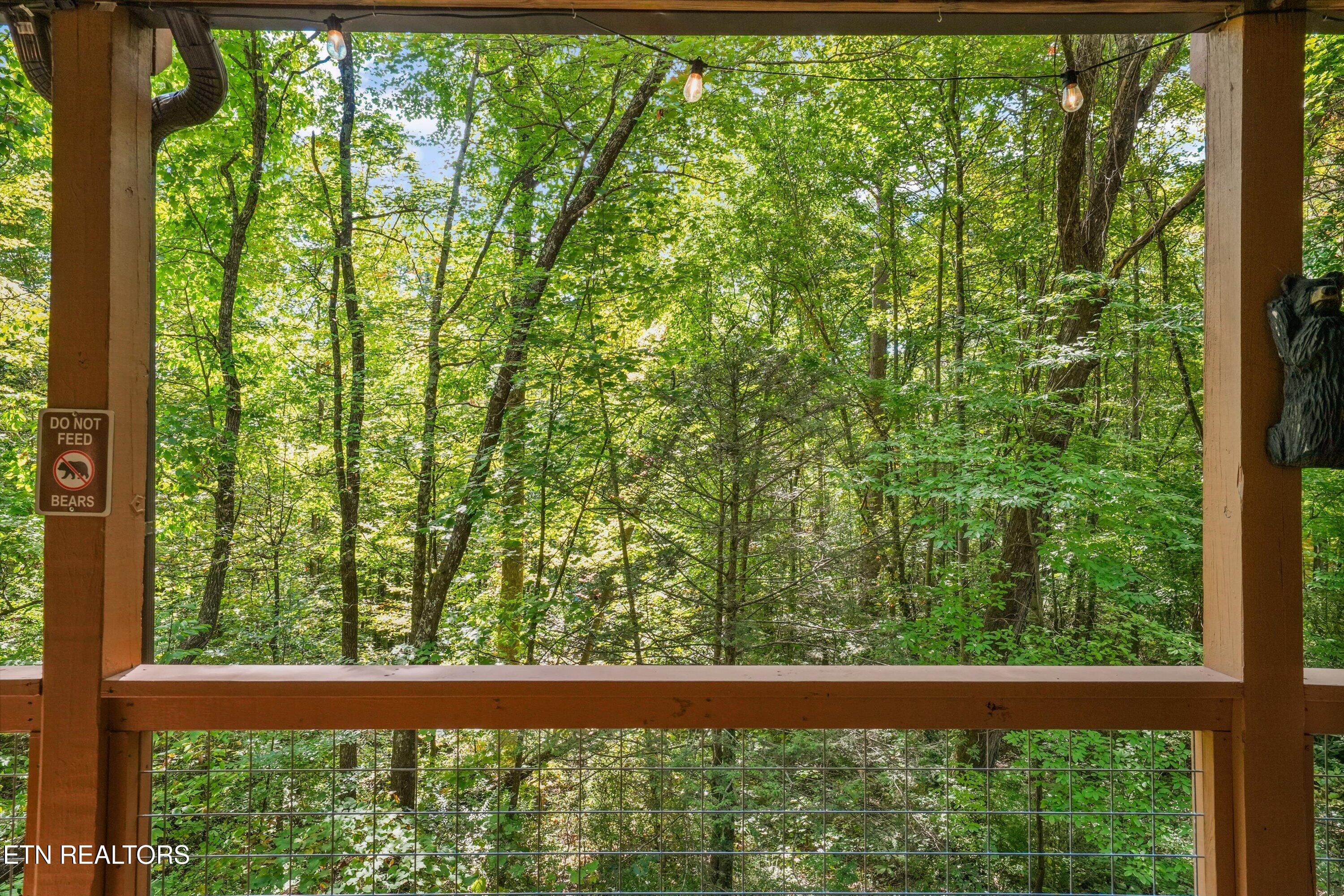 1016 Rast Court Gatlinburg TN 37738
