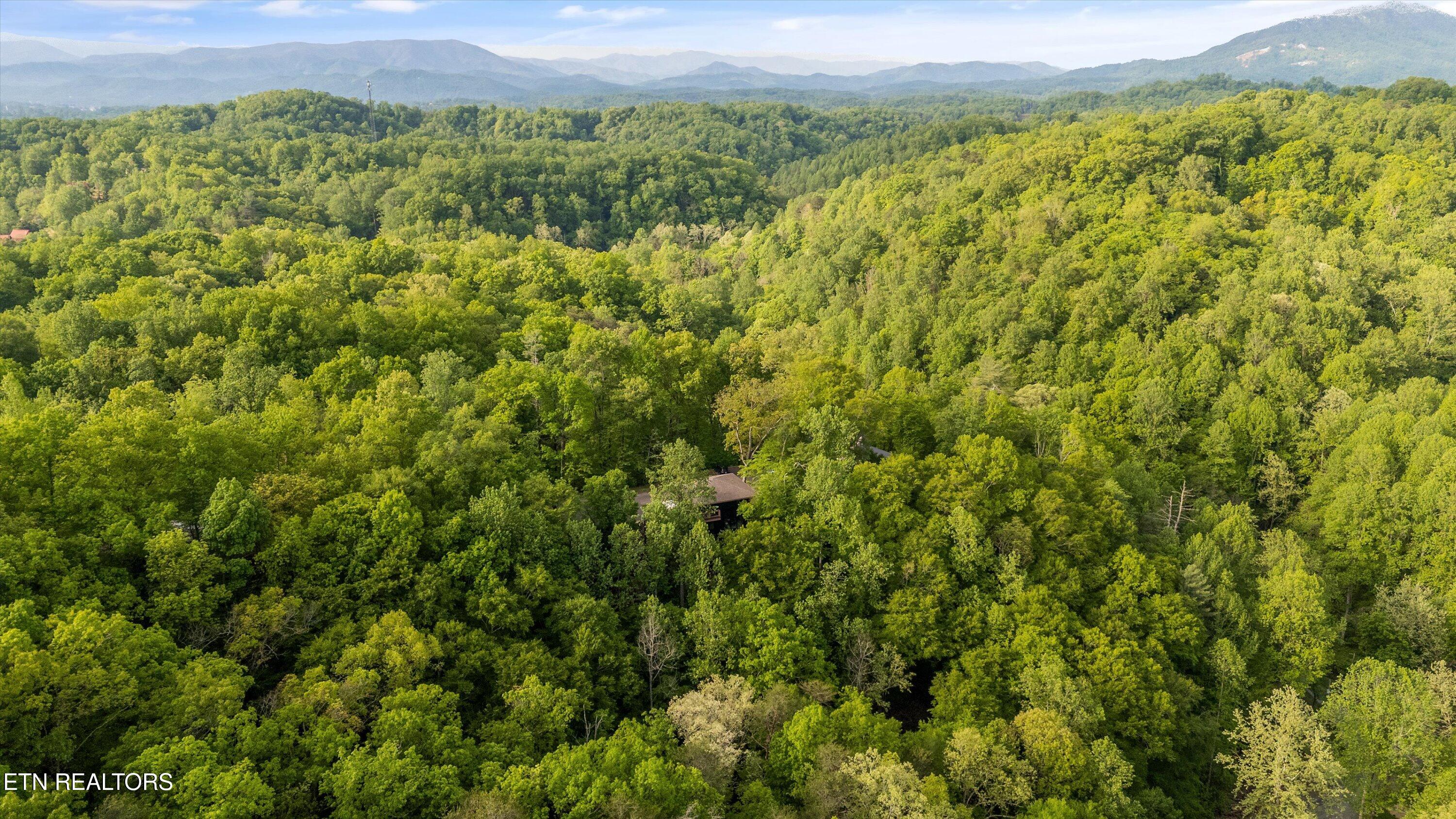 906 Saddle Creek Way Sevierville TN 37862