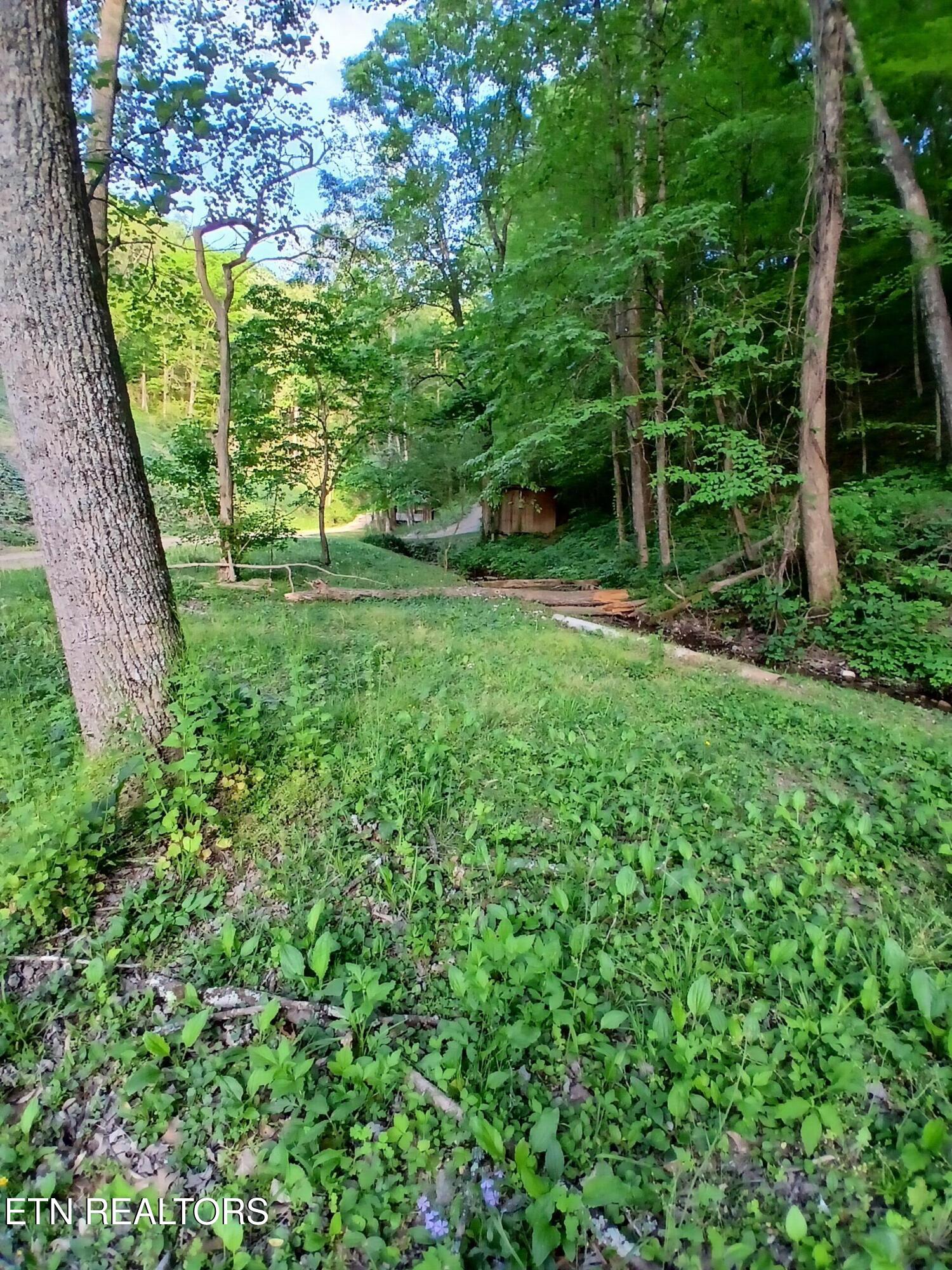 469 Brownlo Road Sneedville TN 37869