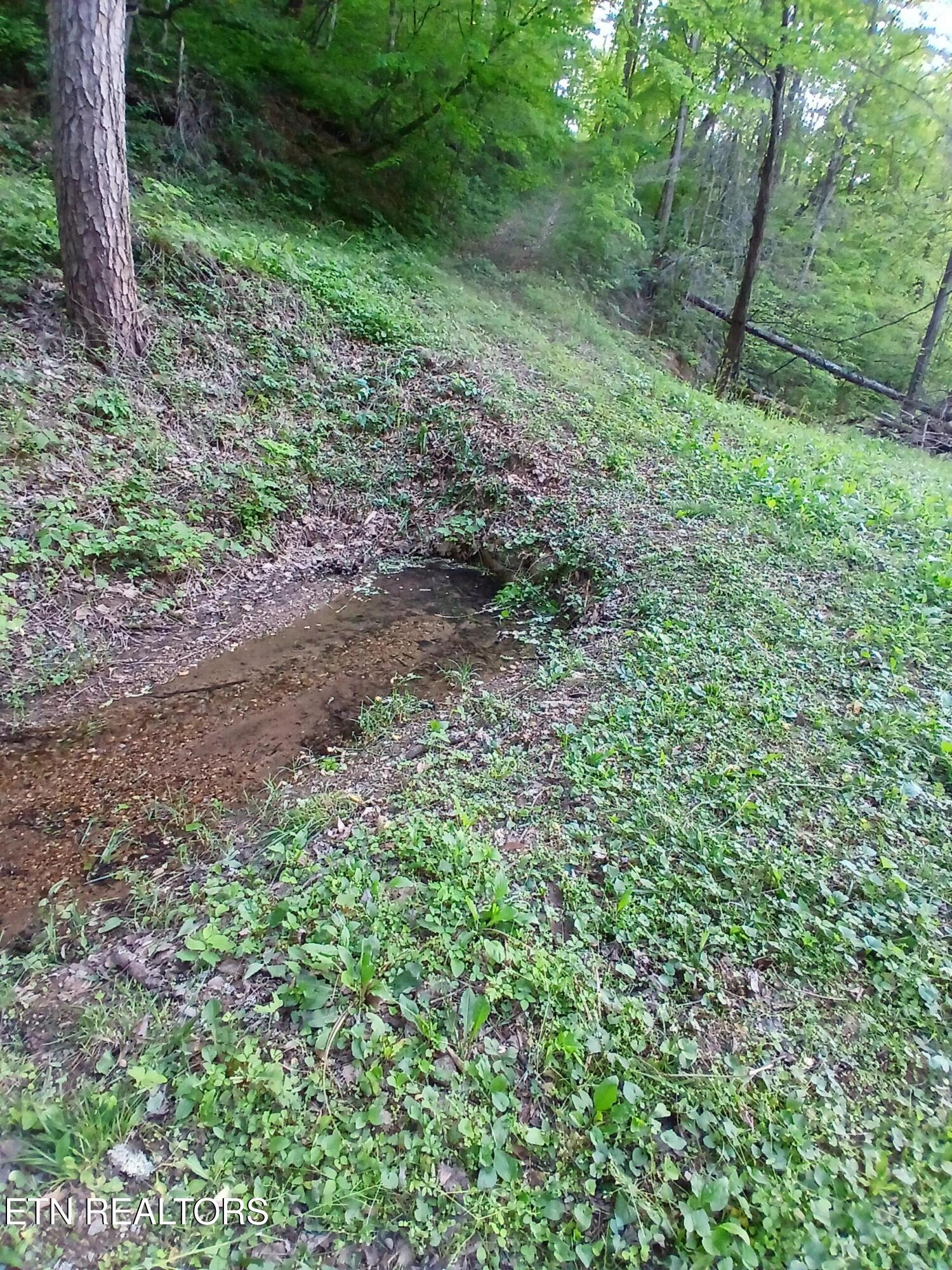 469 Brownlo Road Sneedville TN 37869