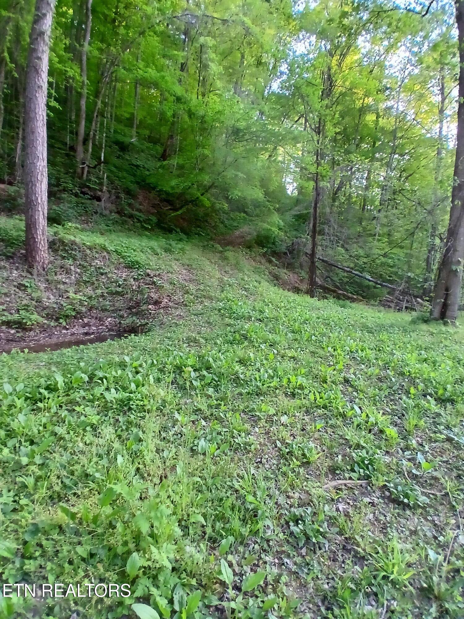 469 Brownlo Road Sneedville TN 37869