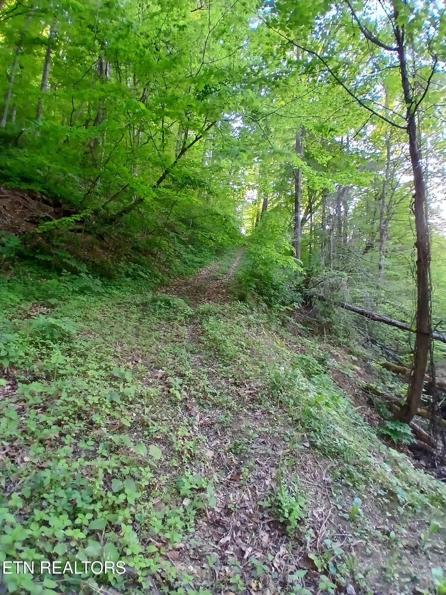 469 Brownlo Road Sneedville TN 37869