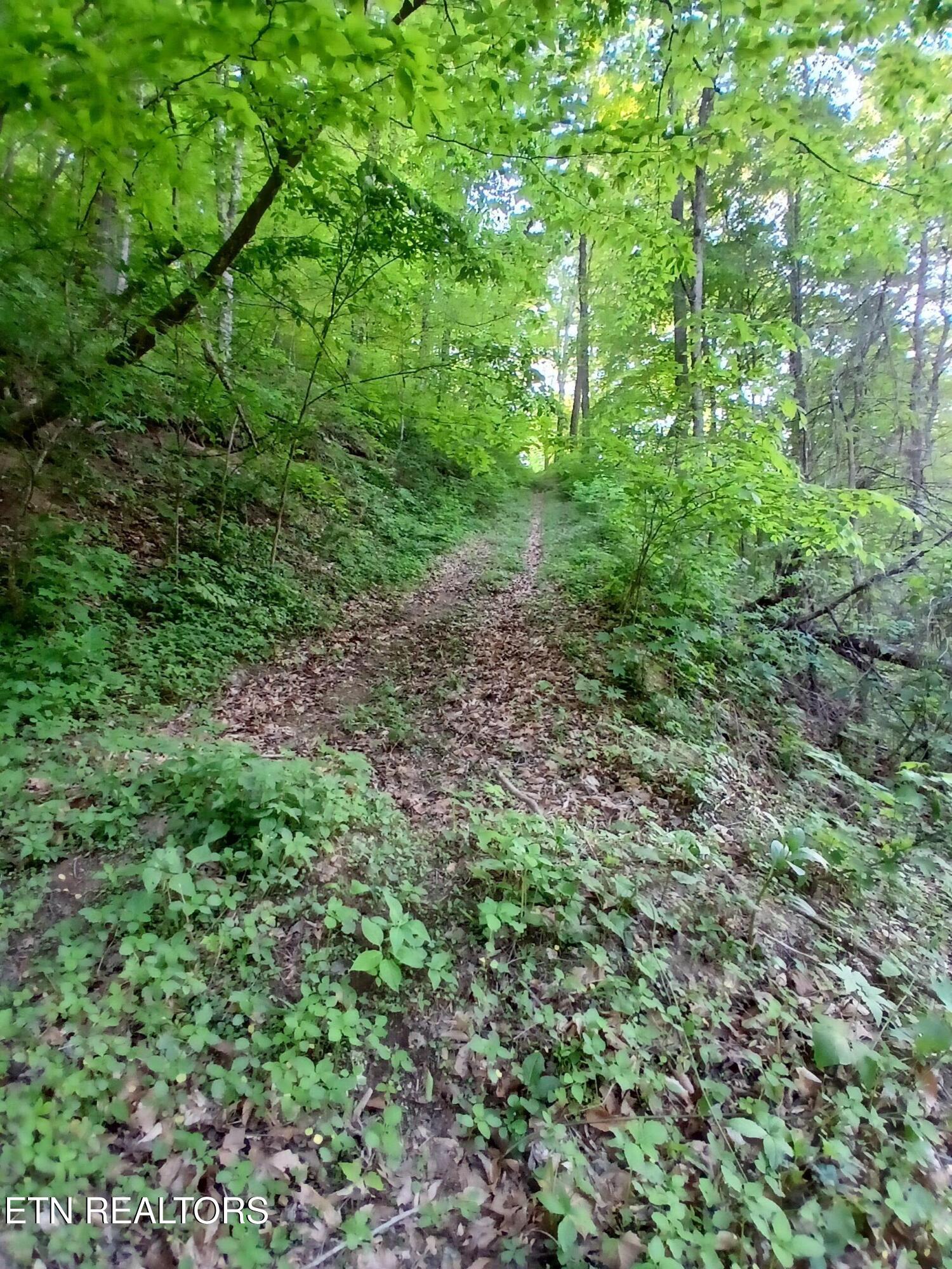 469 Brownlo Road Sneedville TN 37869