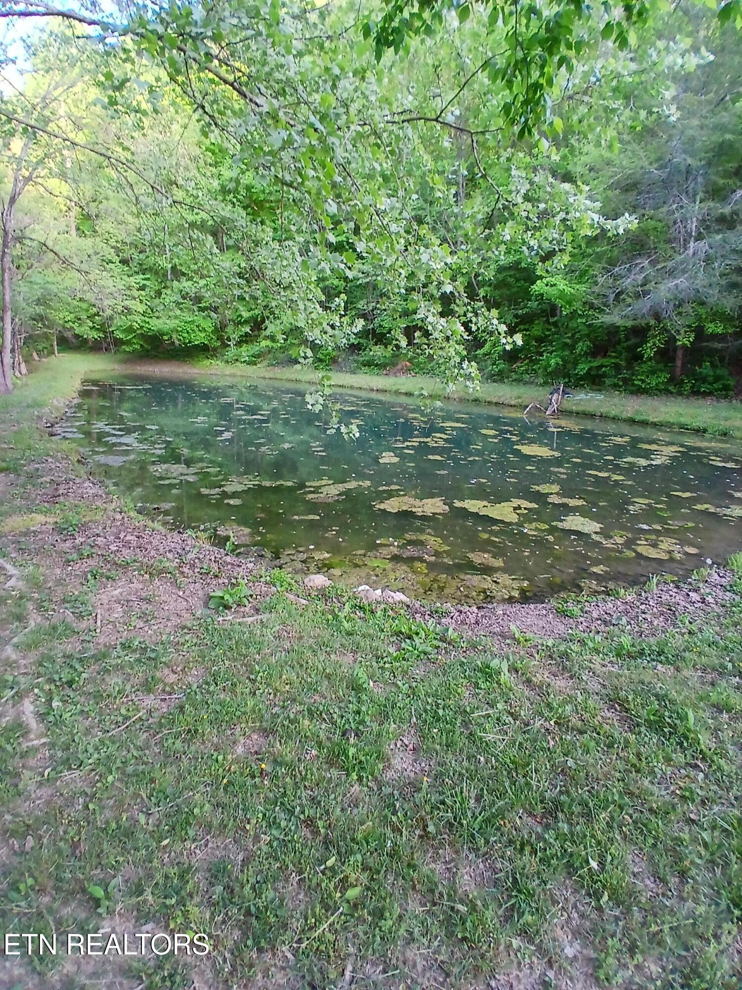 469 Brownlo Road Sneedville TN 37869