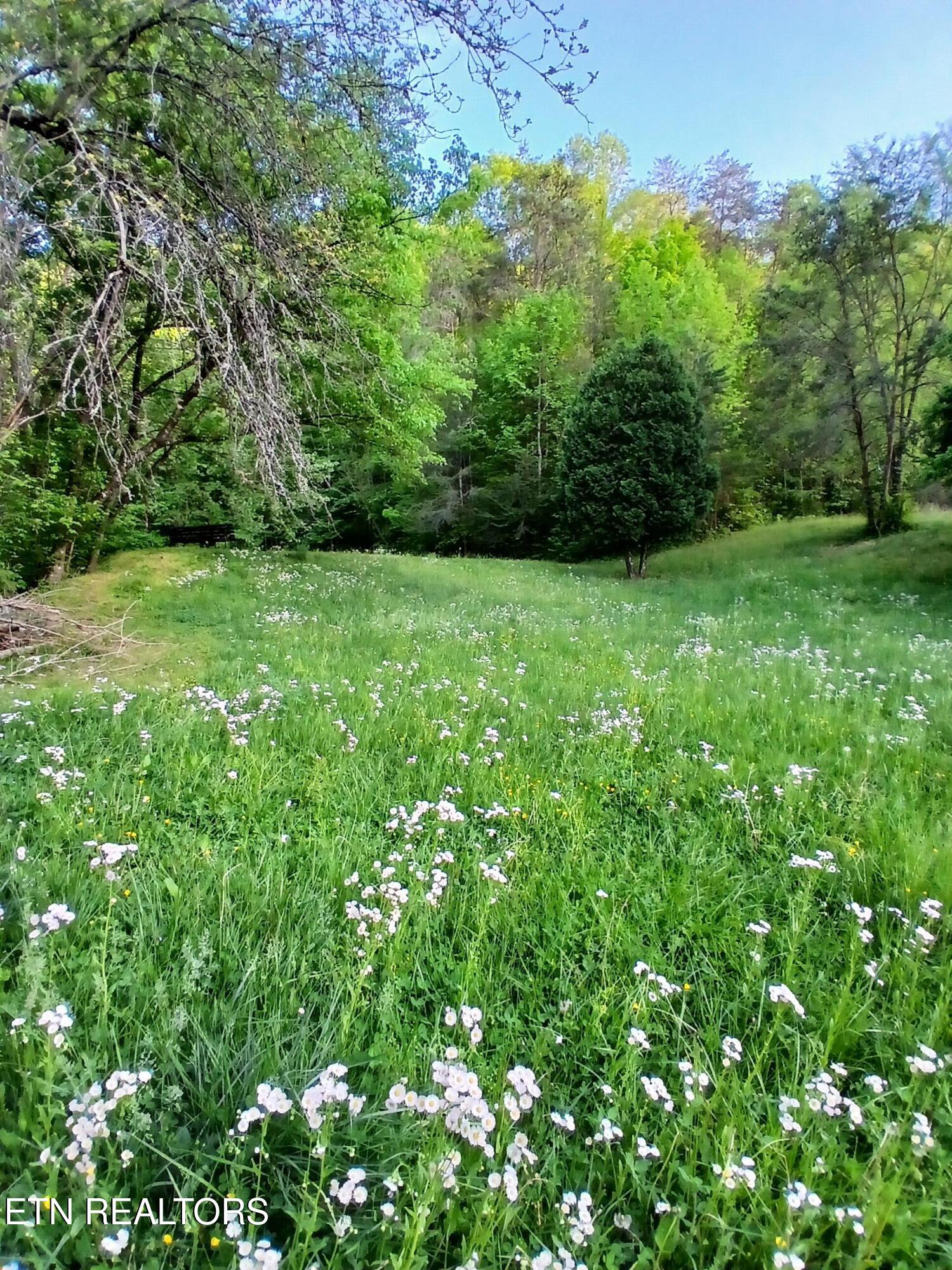 469 Brownlo Road Sneedville TN 37869
