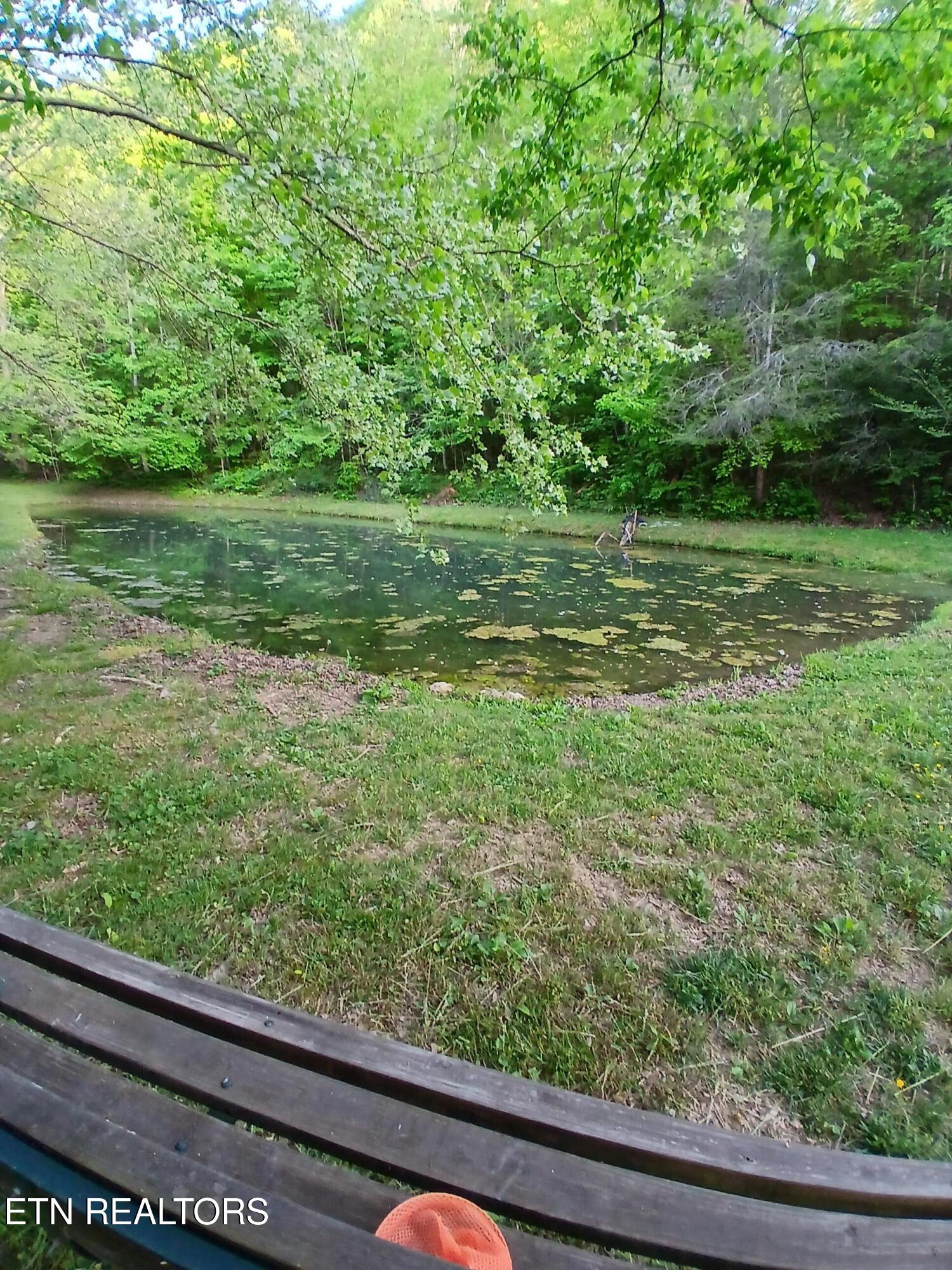 469 Brownlo Road Sneedville TN 37869