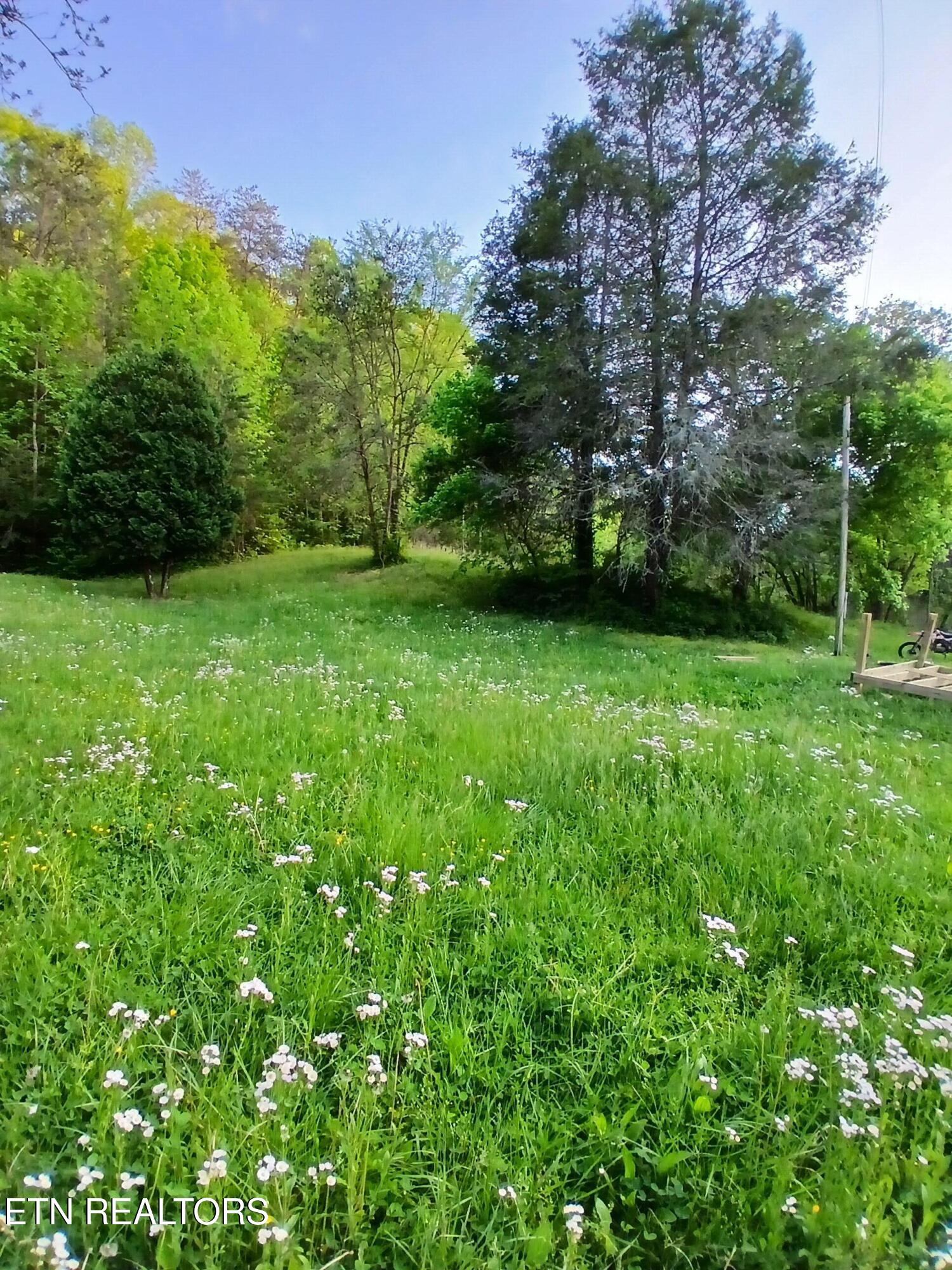469 Brownlo Road Sneedville TN 37869
