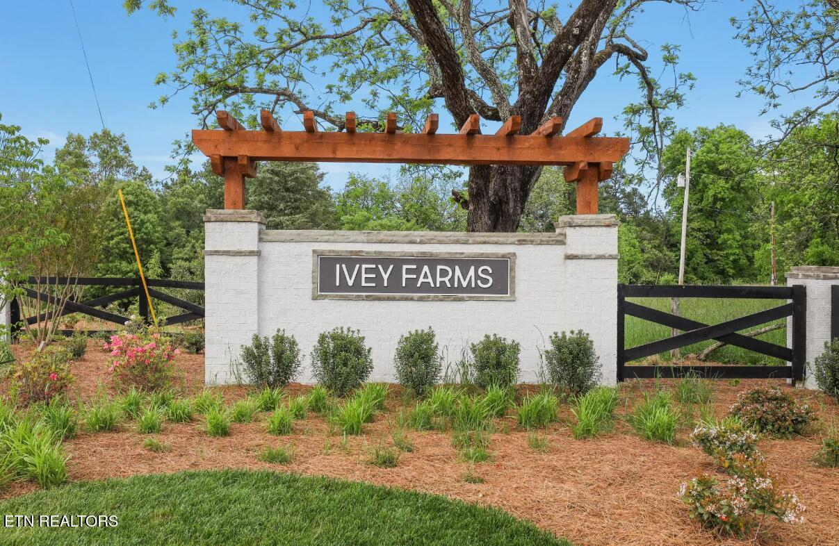 349 Ivey Farms Lane (Lot 54) Farragut TN 37934