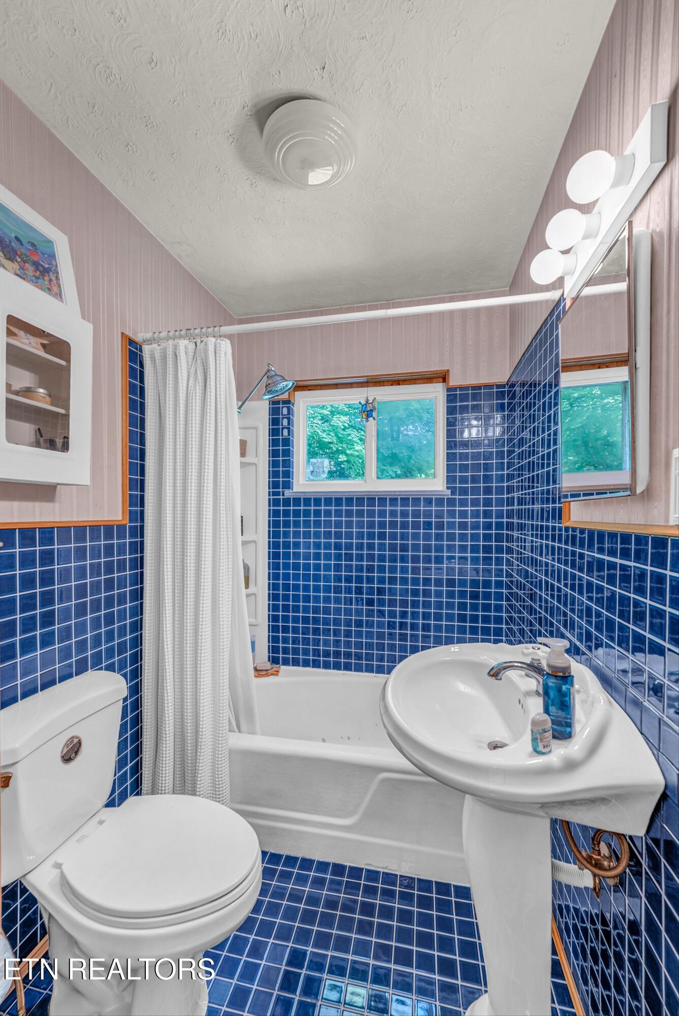 671 Green Hill Road Dandridge TN 37725