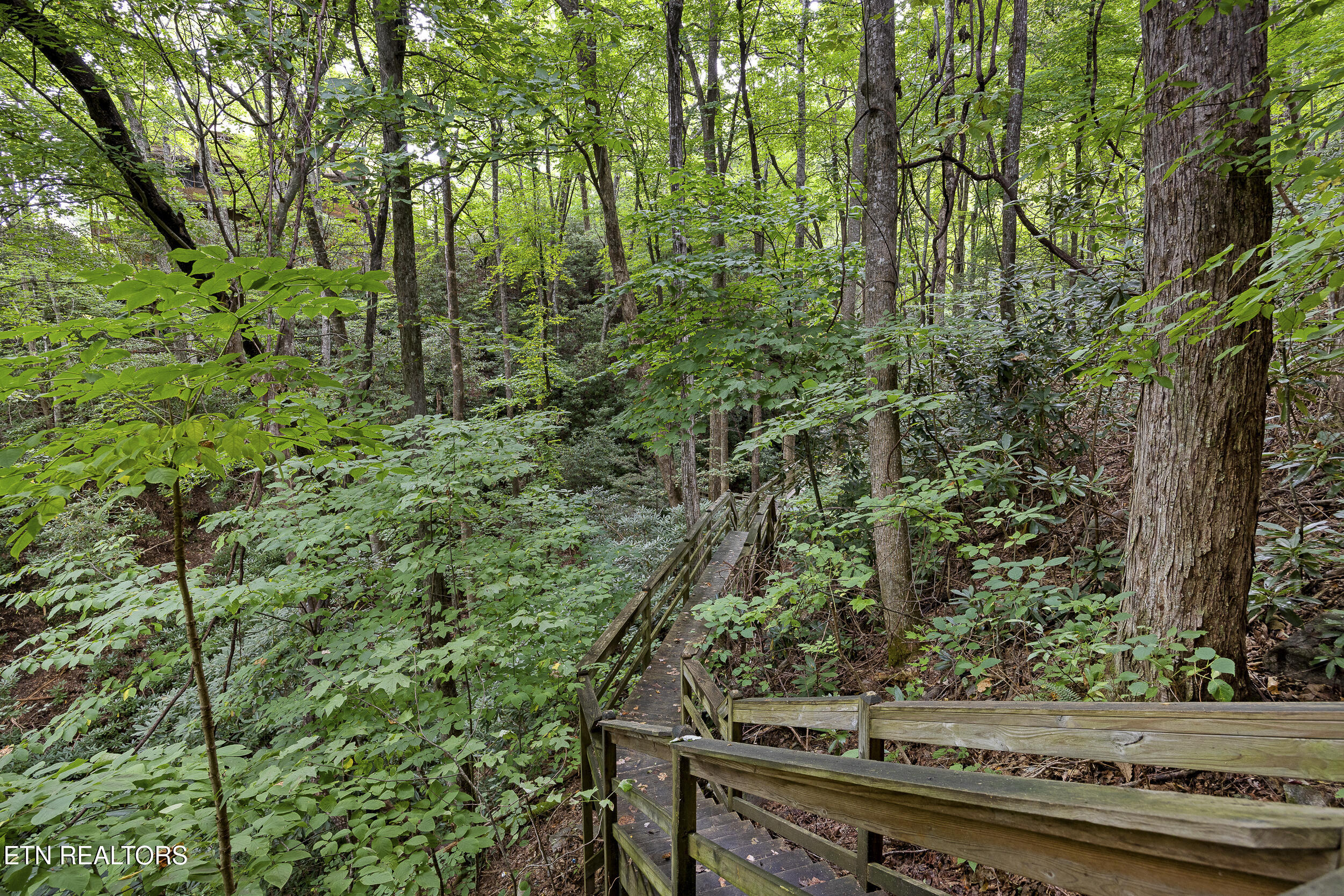 3690 Scottish Highland Way Sevierville TN 37862