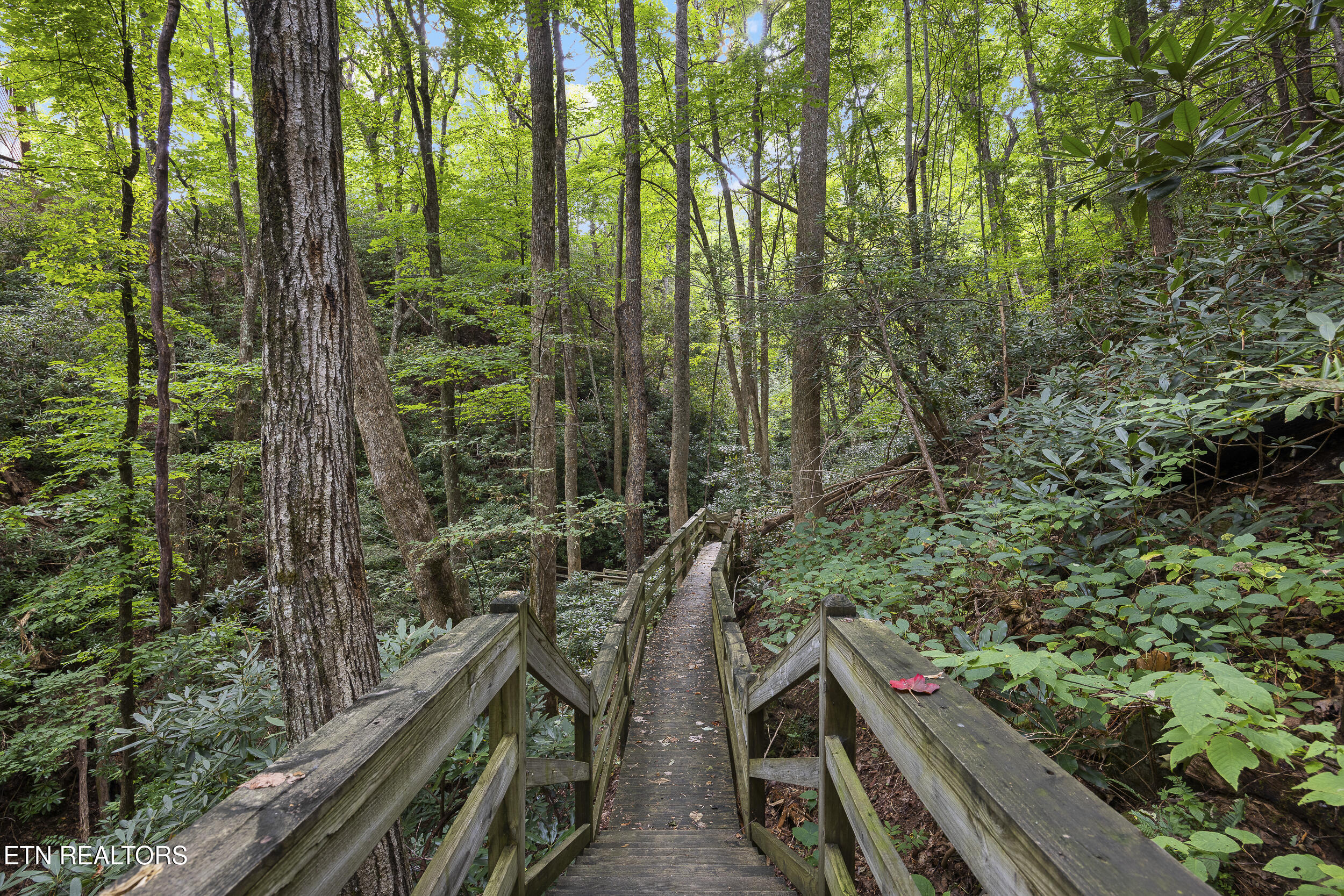 3690 Scottish Highland Way Sevierville TN 37862