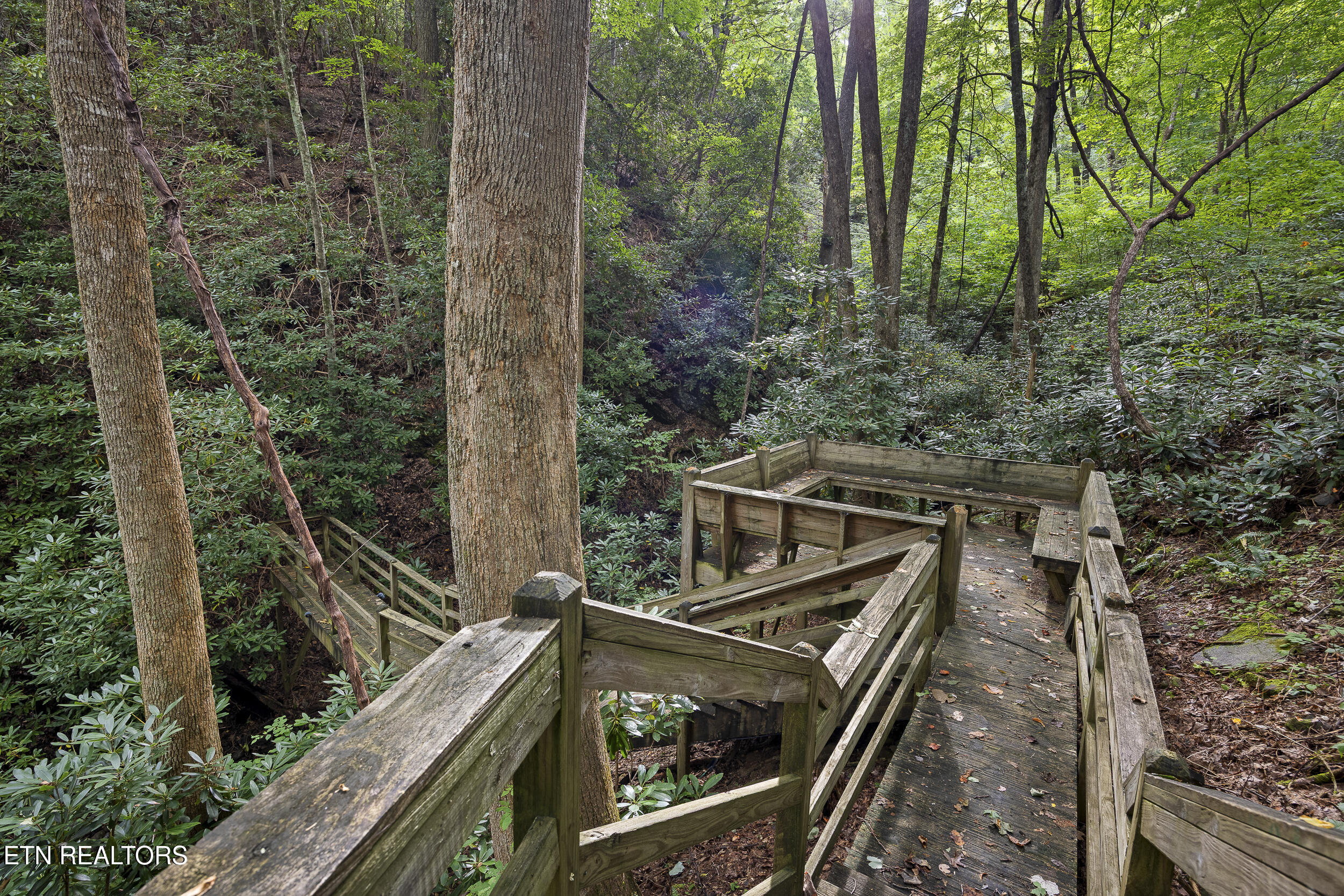 3690 Scottish Highland Way Sevierville TN 37862
