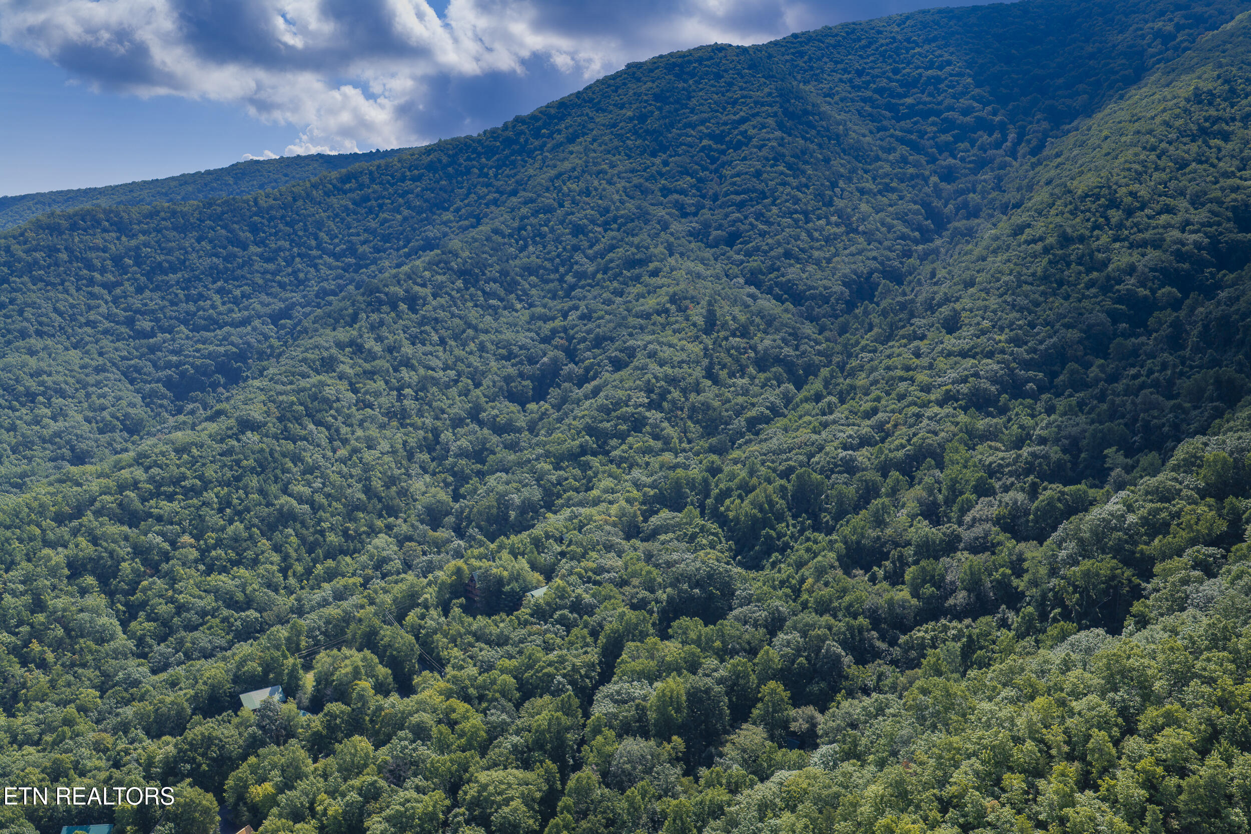 3690 Scottish Highland Way Sevierville TN 37862