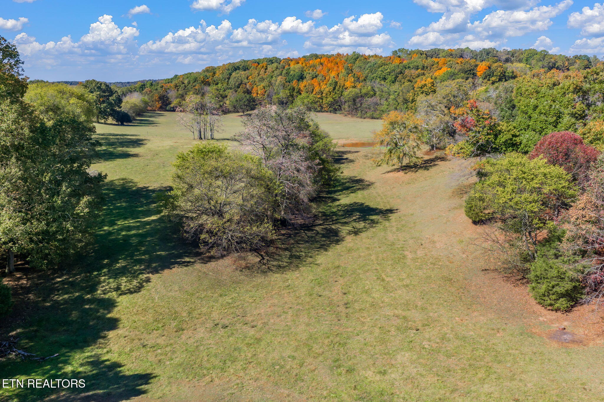 16415 Sunnyside Road Philadelphia TN 37846