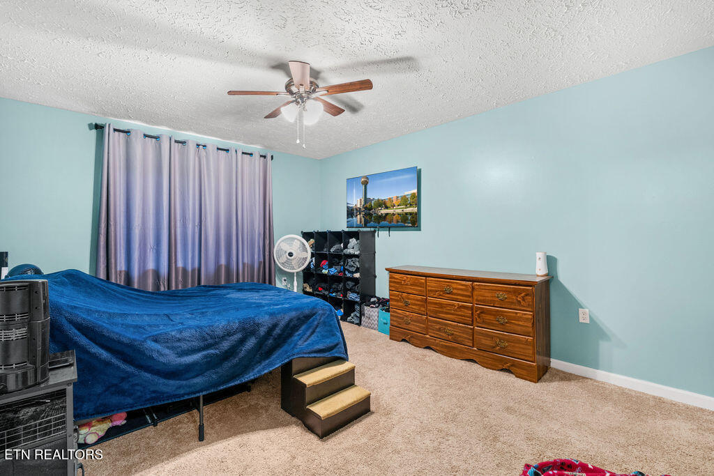 250 Mcdeerman Road Jacksboro TN 37757