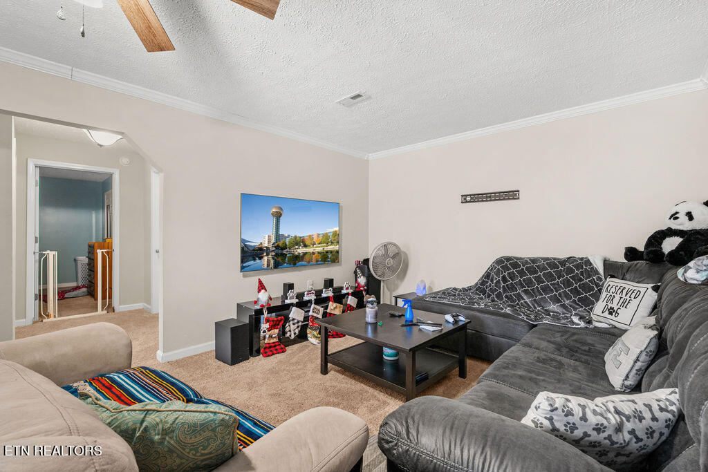 250 Mcdeerman Road Jacksboro TN 37757