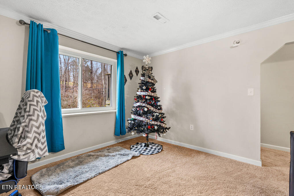 250 Mcdeerman Road Jacksboro TN 37757