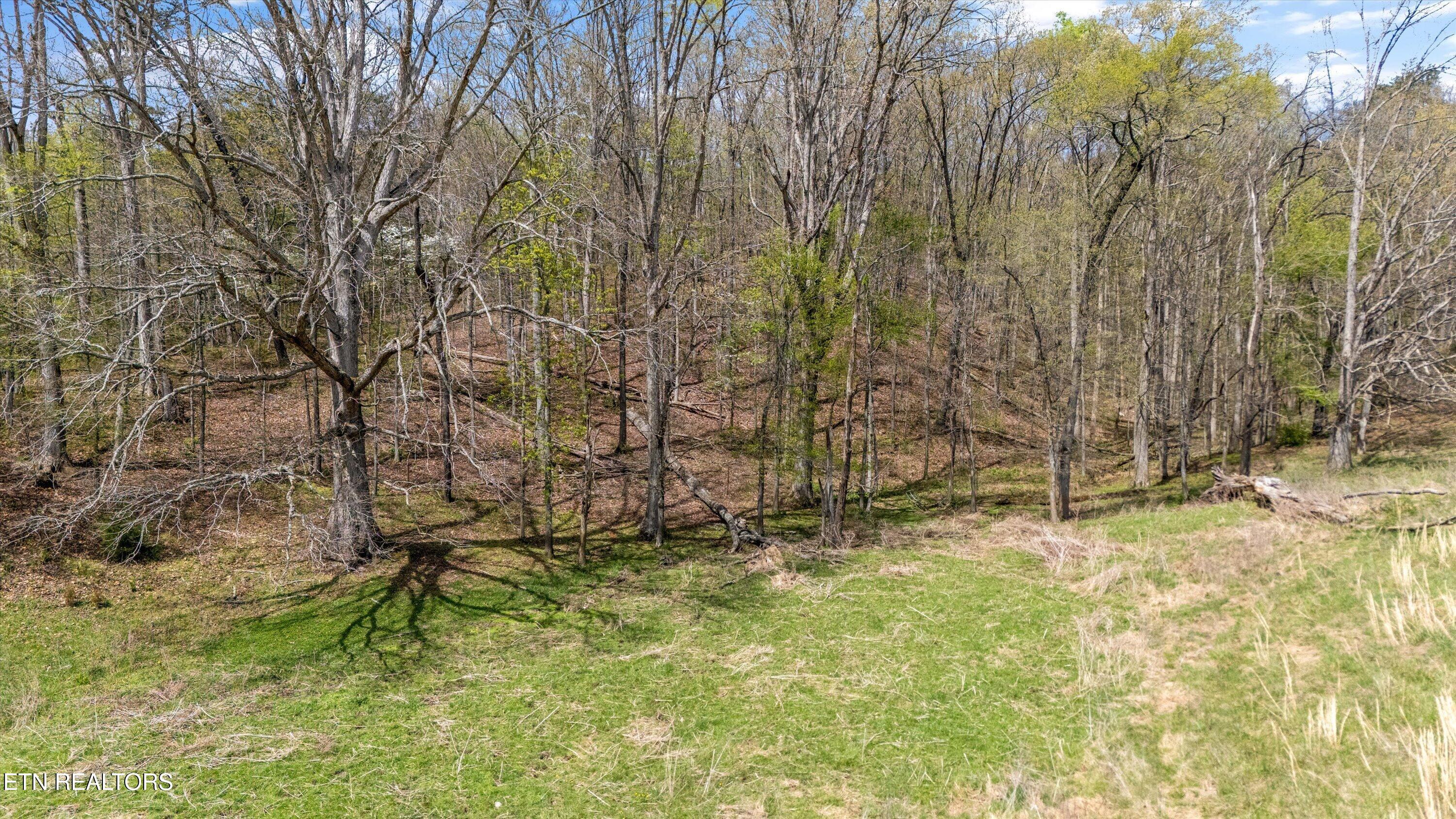 2783 Rutledge Pike Blaine TN 37709