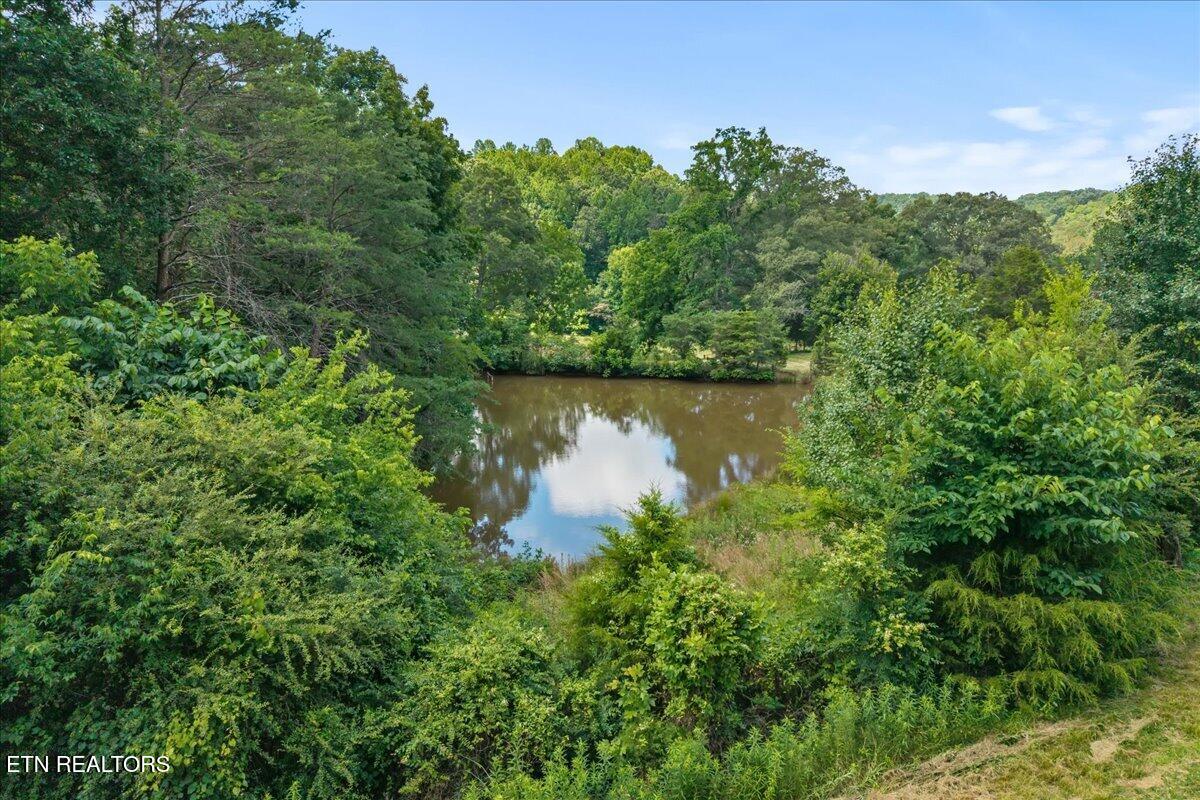 982 Wilson Station Road Englewood TN 37329