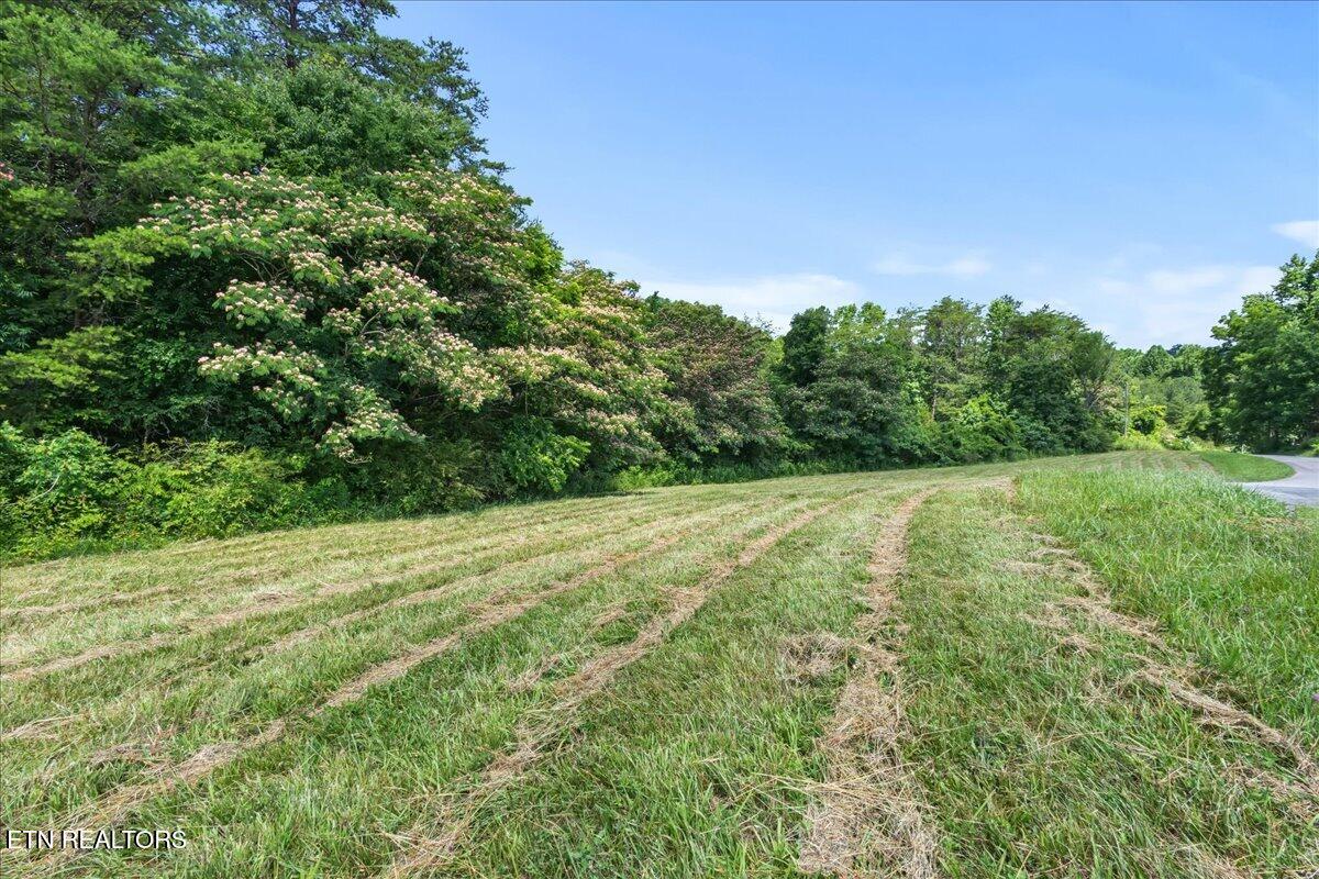 982 Wilson Station Road Englewood TN 37329