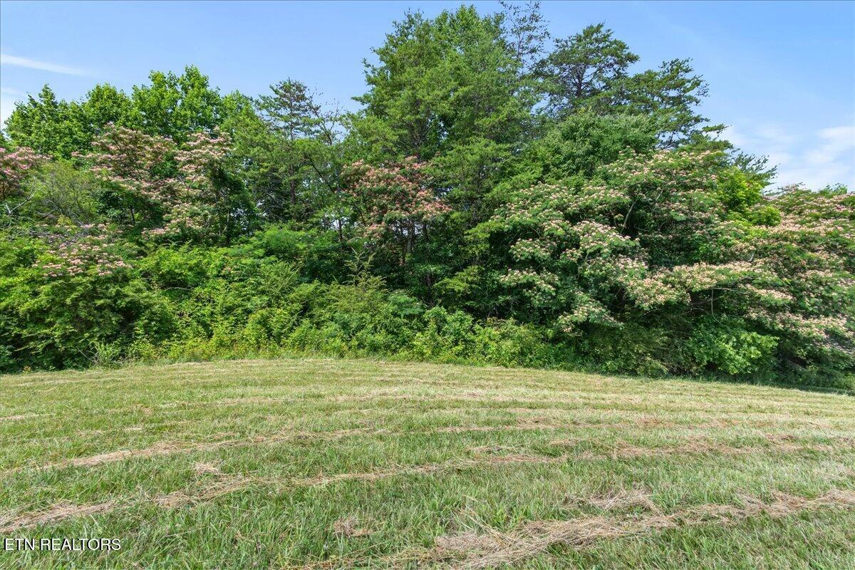 982 Wilson Station Road Englewood TN 37329