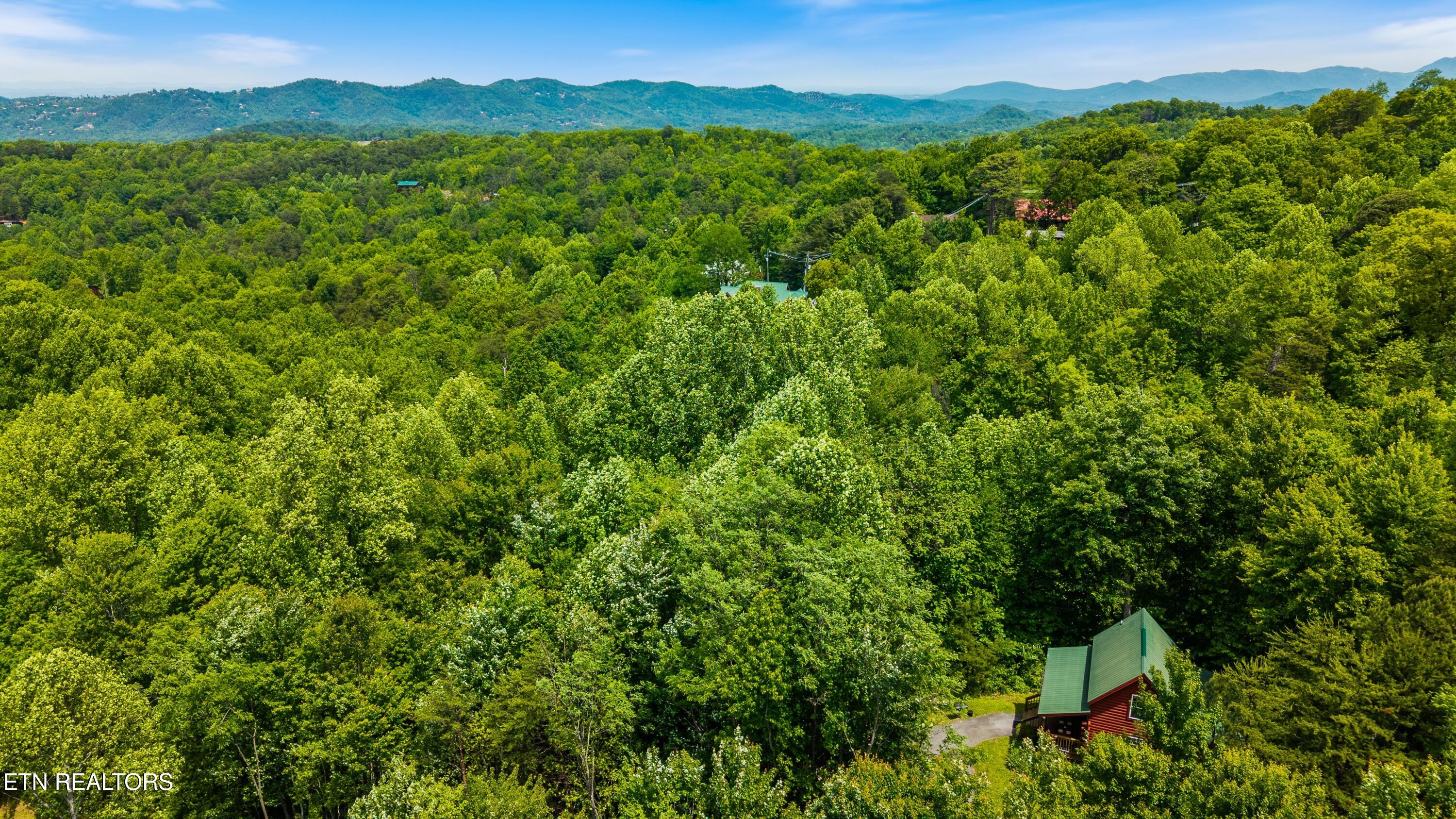 1830 Cherry View Lane Pigeon Forge TN 37876