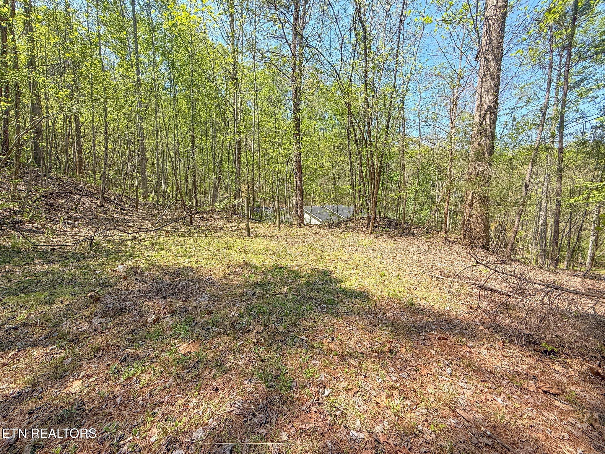 626 Laurel Lake Circle Madisonville TN 37354